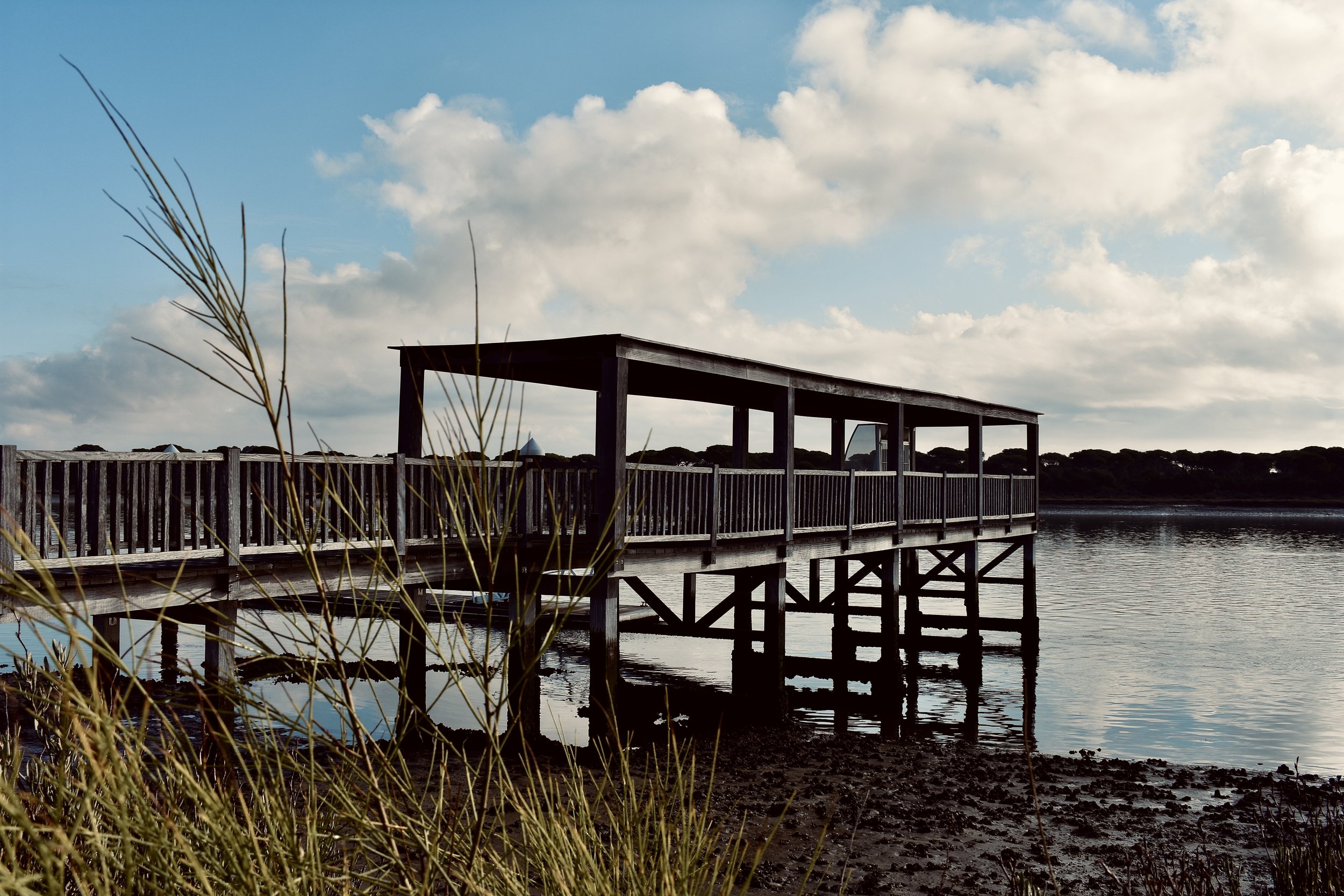 Obstáculos en el camino.