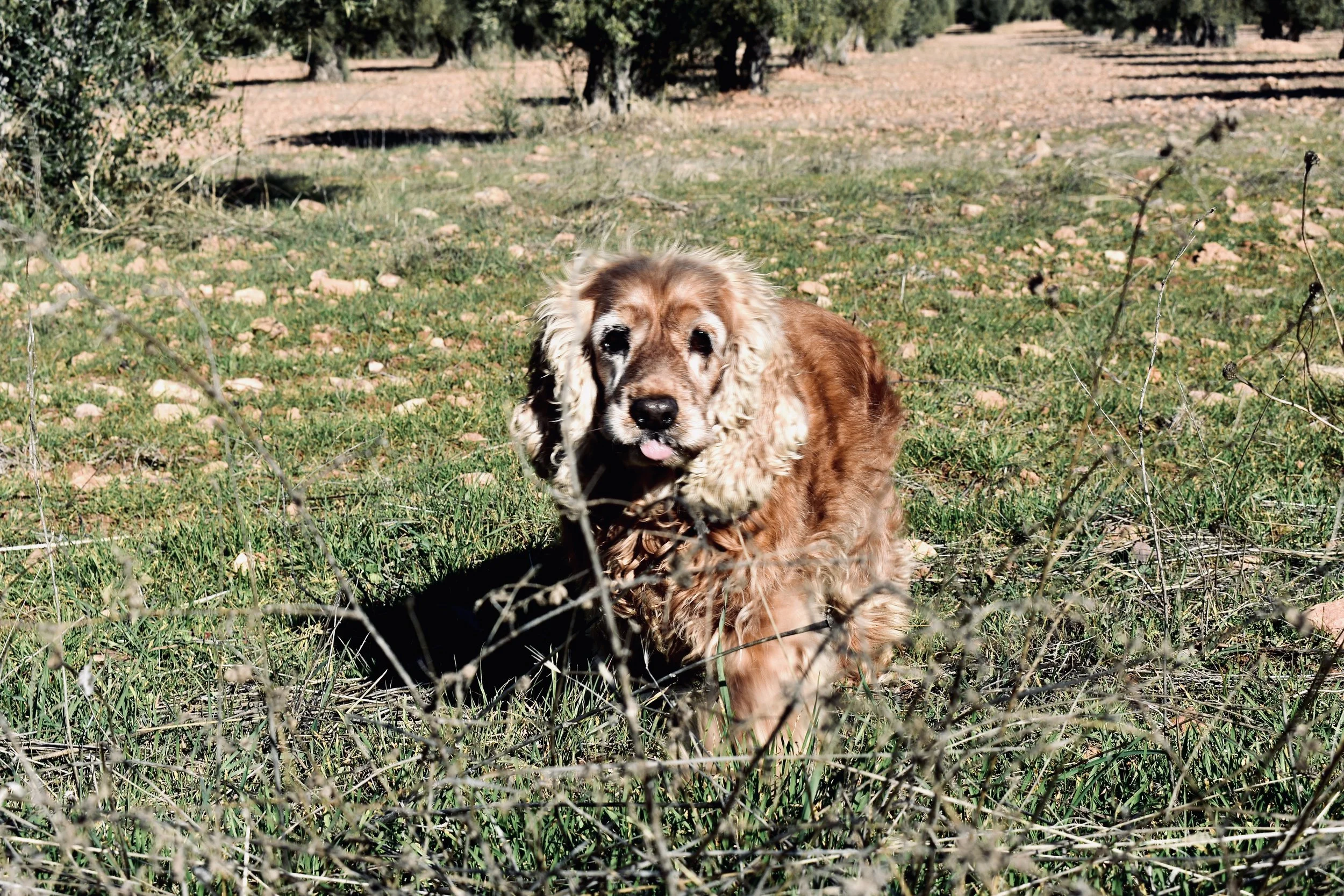 2026.01.06_Naia reportaje.jpeg