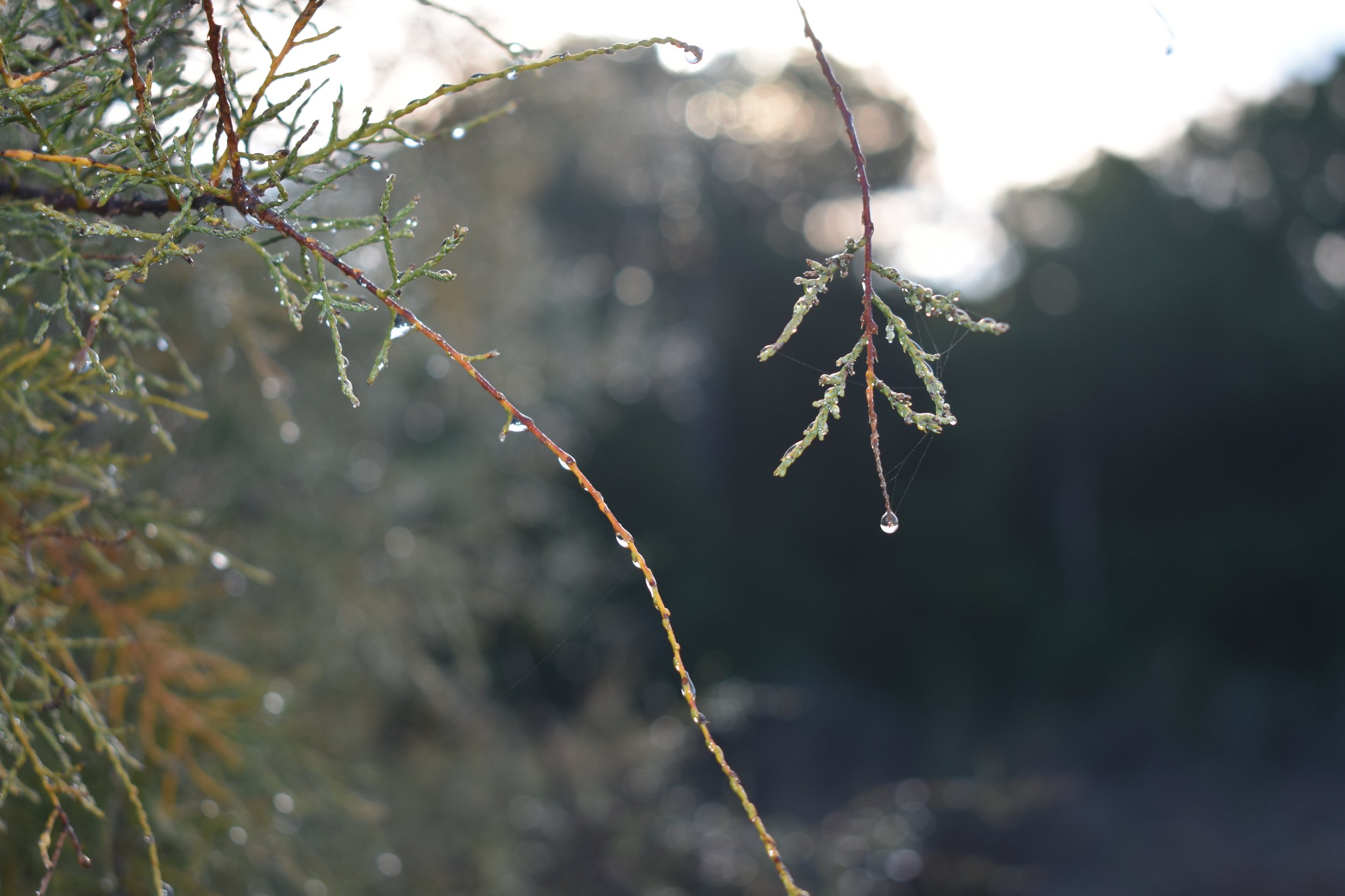 No te permitas caer.