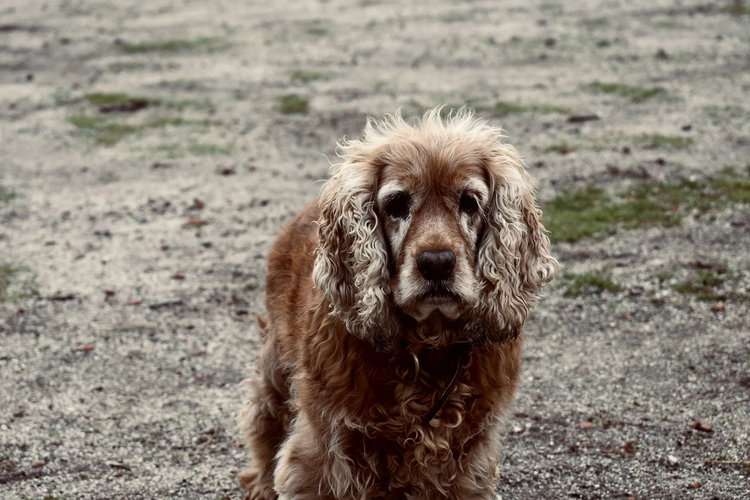 Naia reportaje 01.jpeg