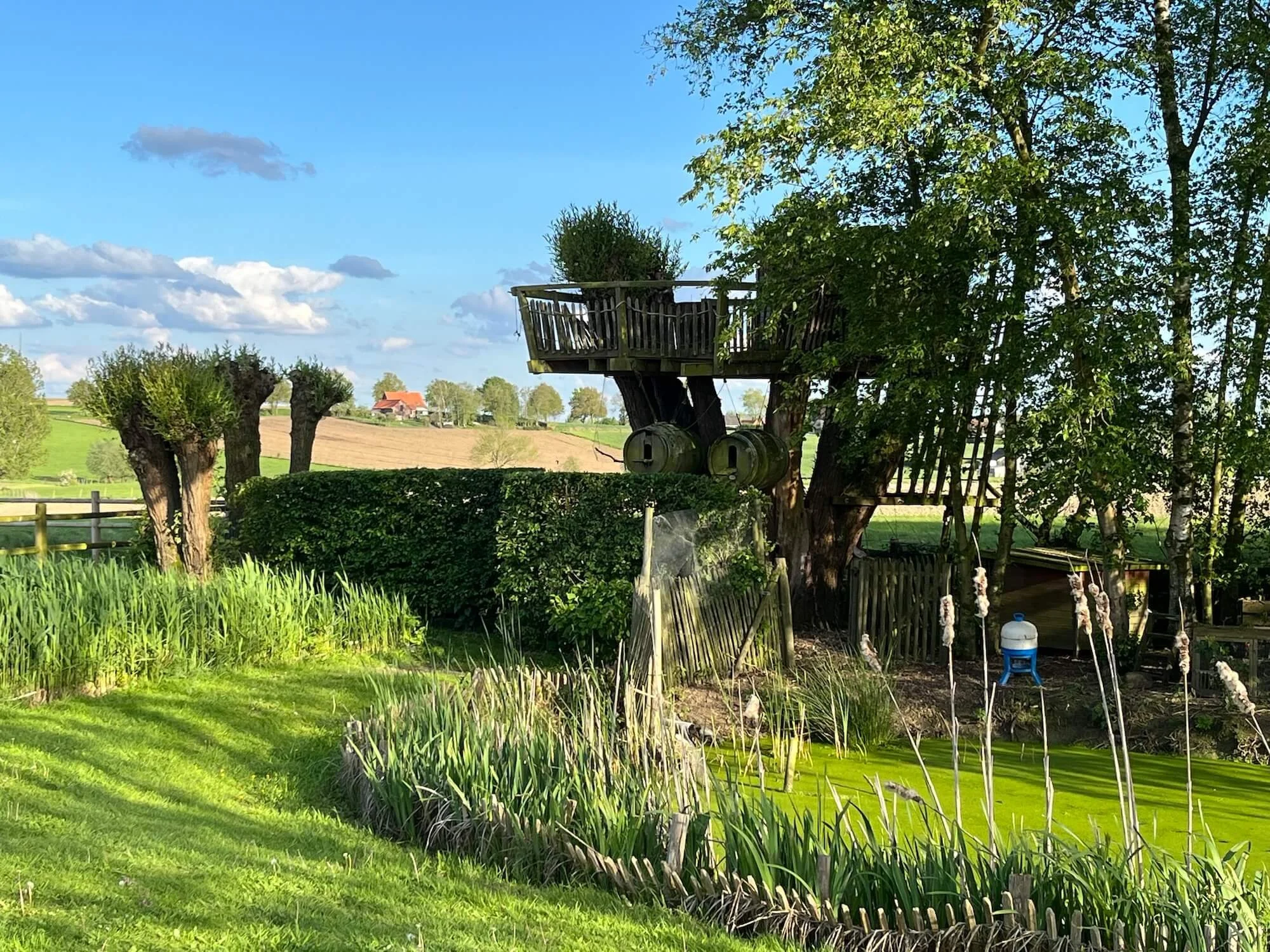 Oranssi carpenter using bench saw