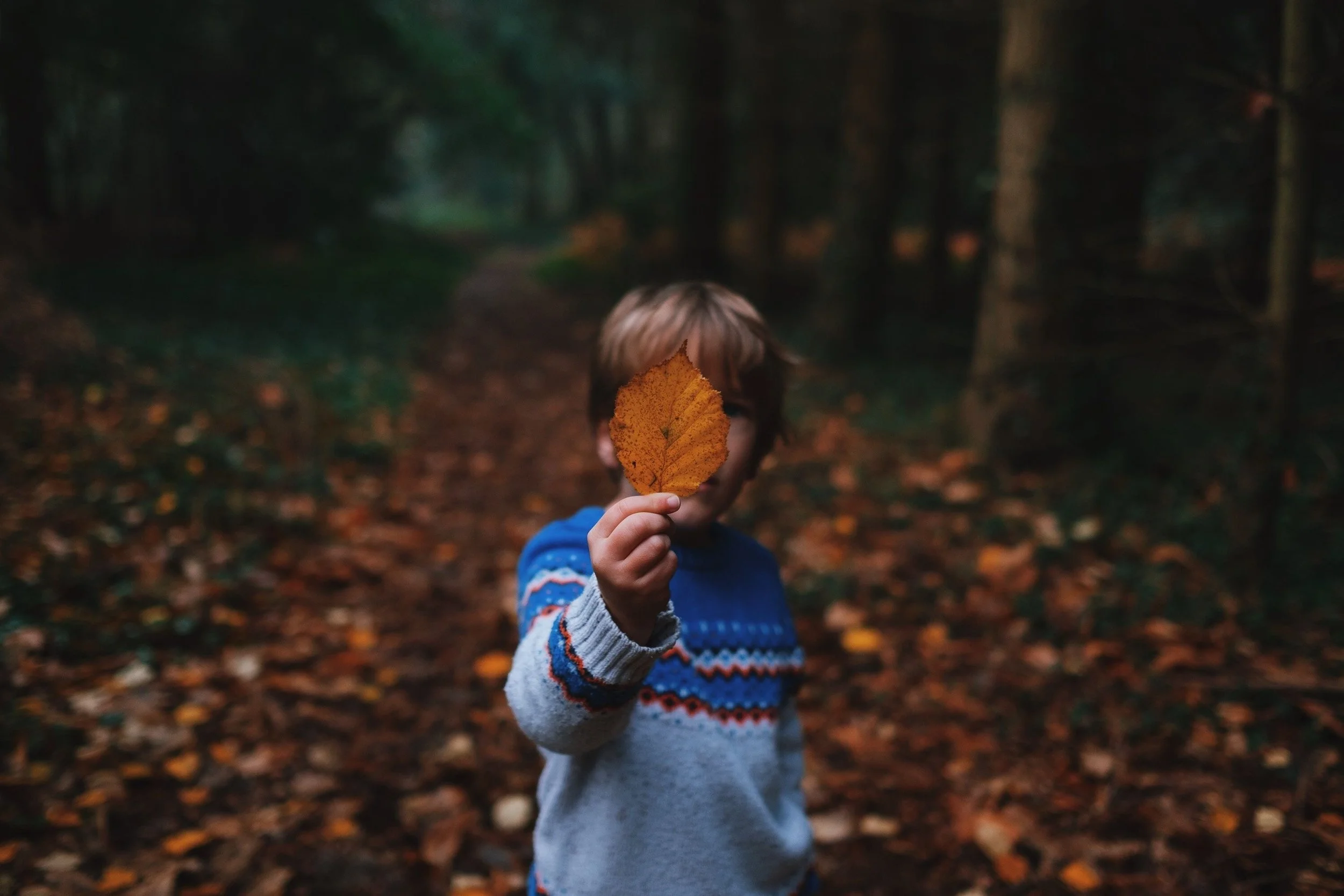 A young boy with blonde hair wearing a colorful sweater holding an autumn leaf in front of his face in a forest.