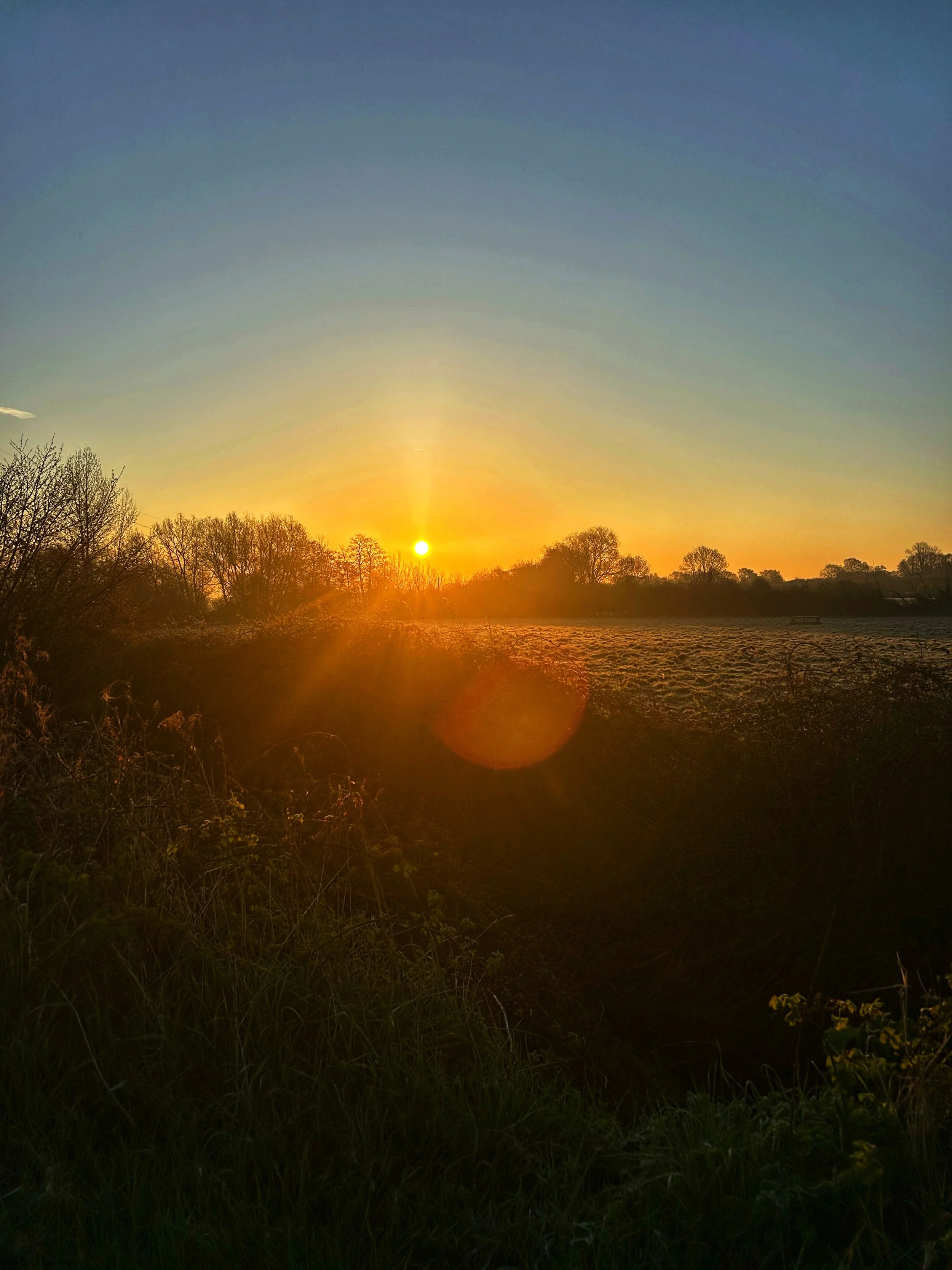 IMG_6409.jpeg