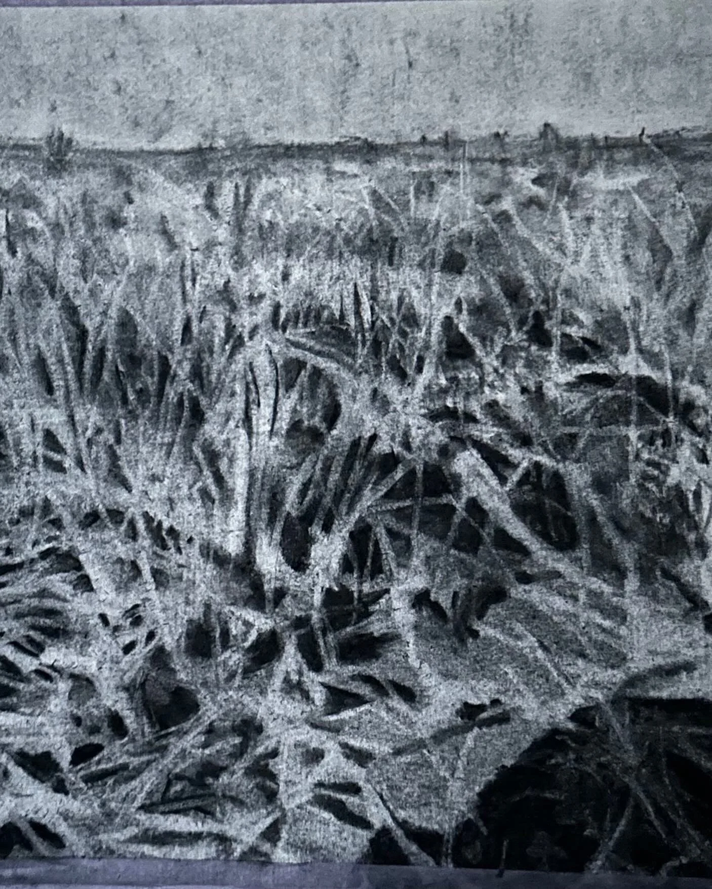 Even lekker met houtskool aanklooien #charcoal #drawings #patterns