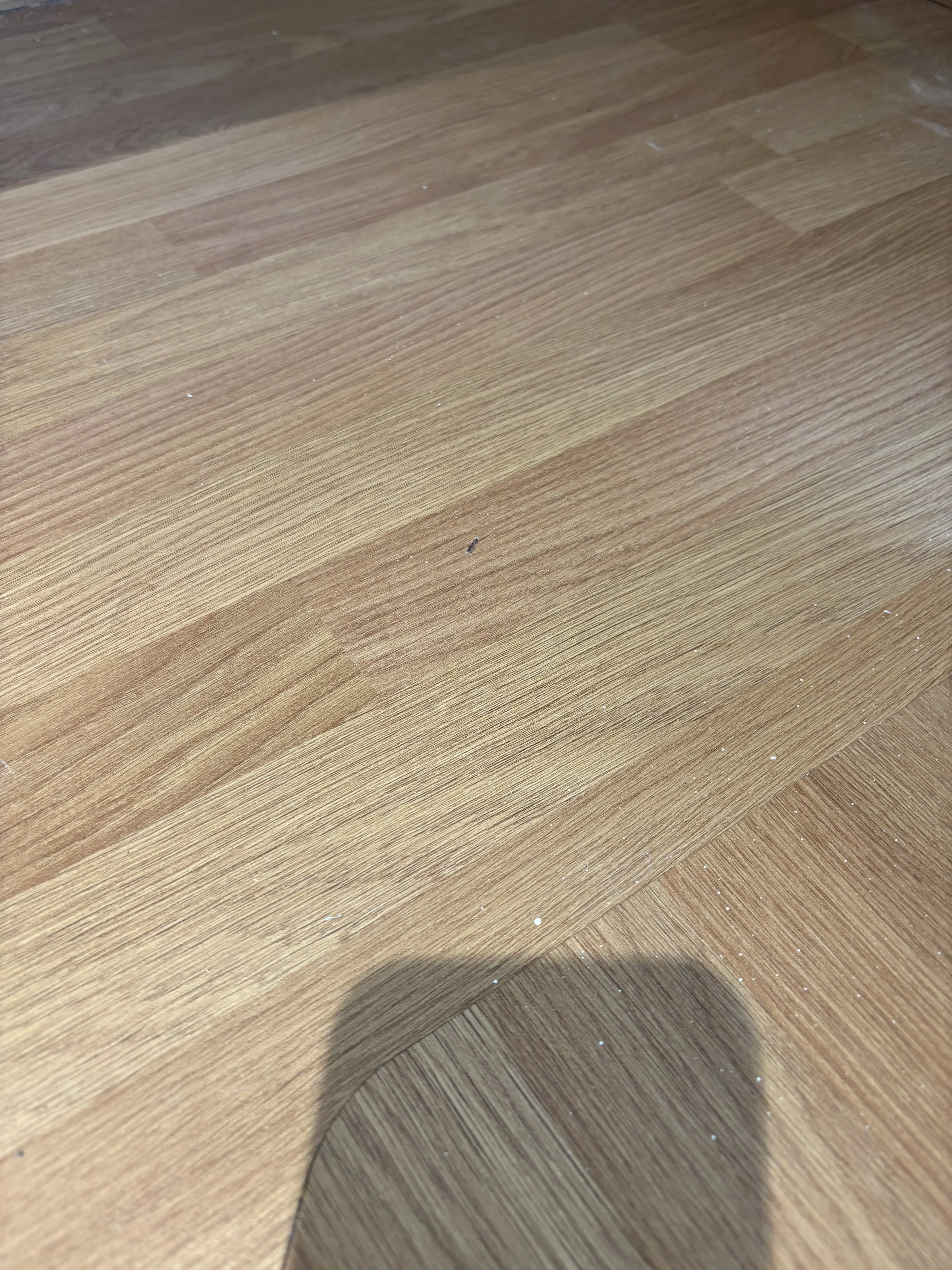 30.jpeg