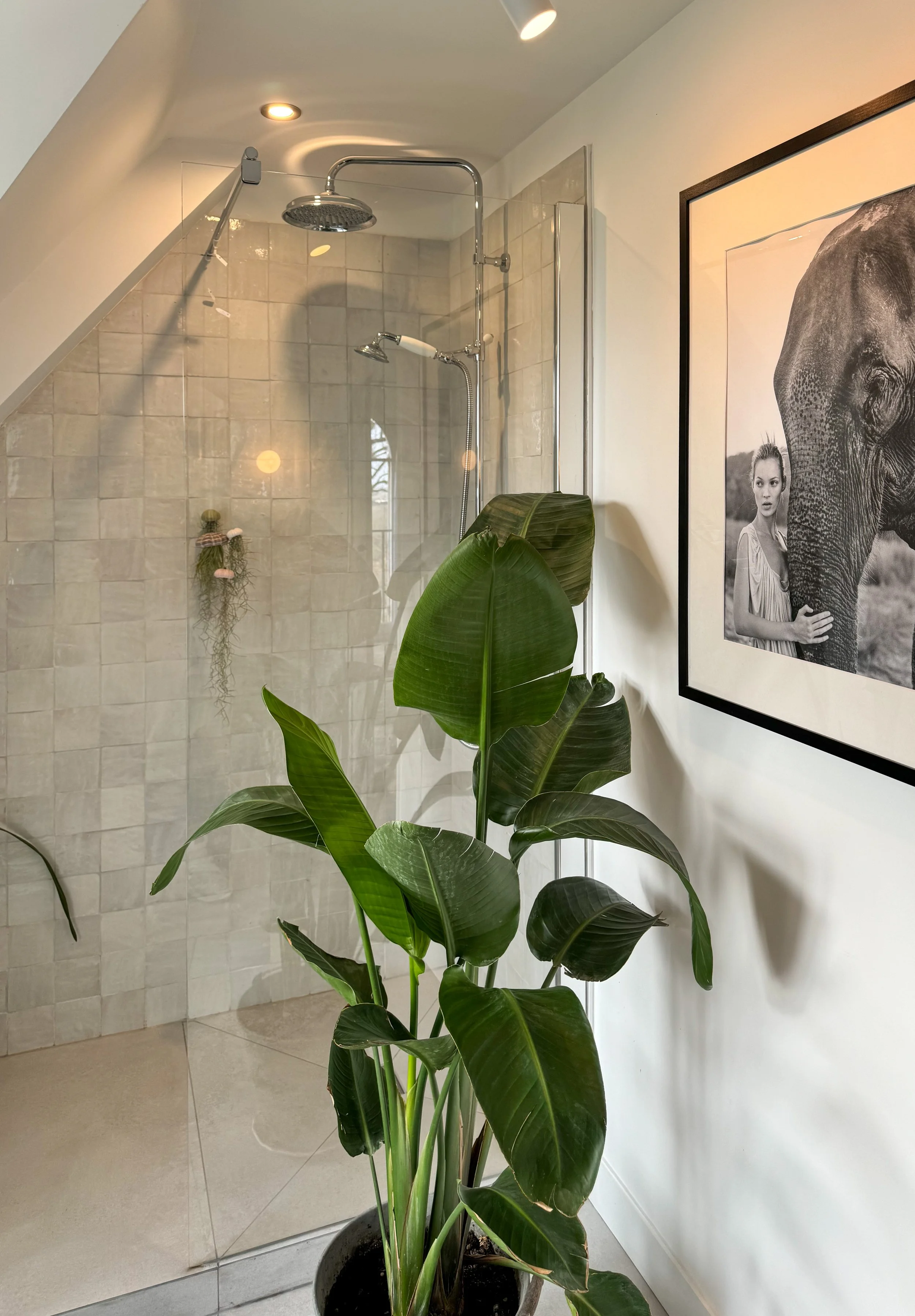 Une pièce de bain avec une douche à l’italienne, un mur en carreaux beige et une plante verte dans un pot noir.