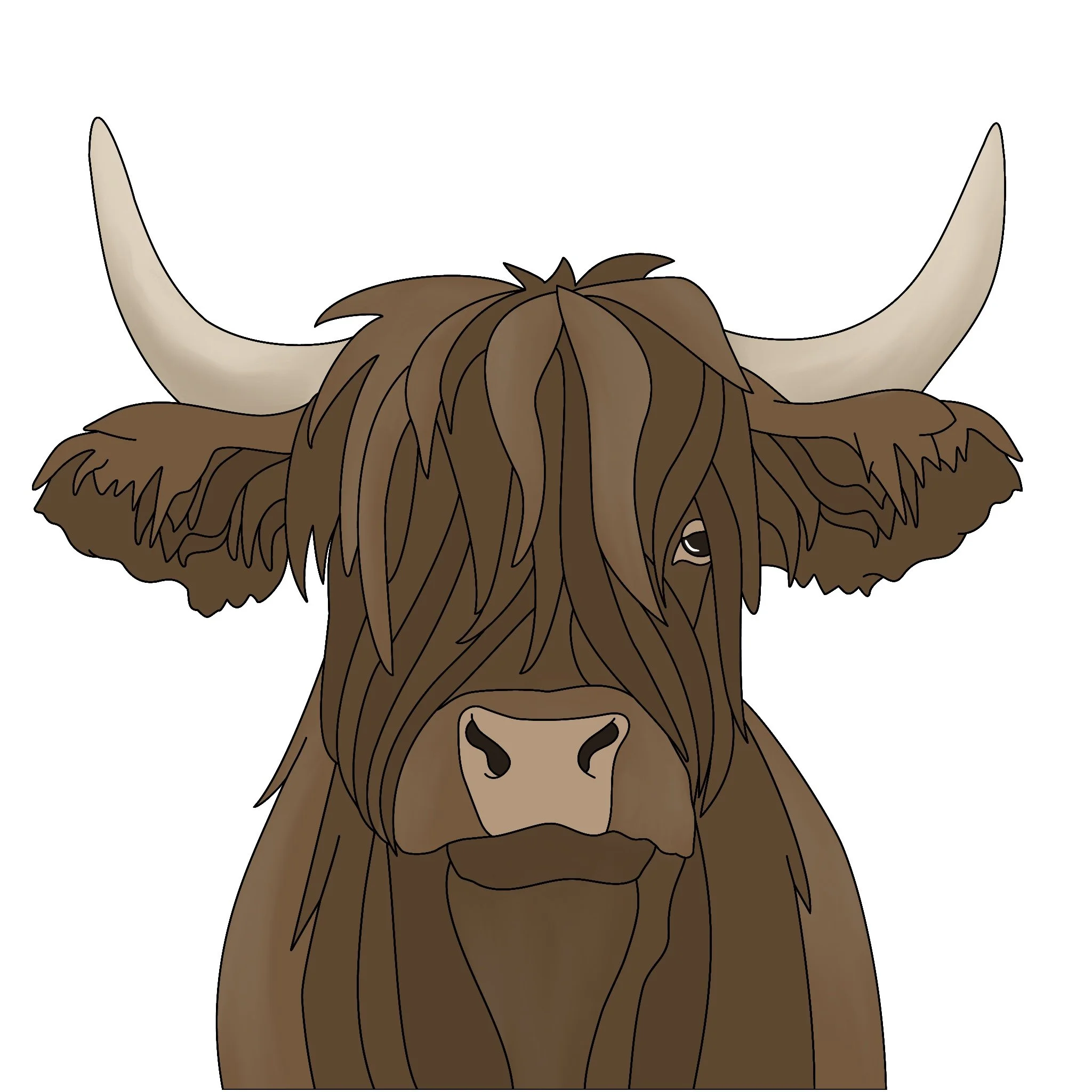 Highland Cow.jpg