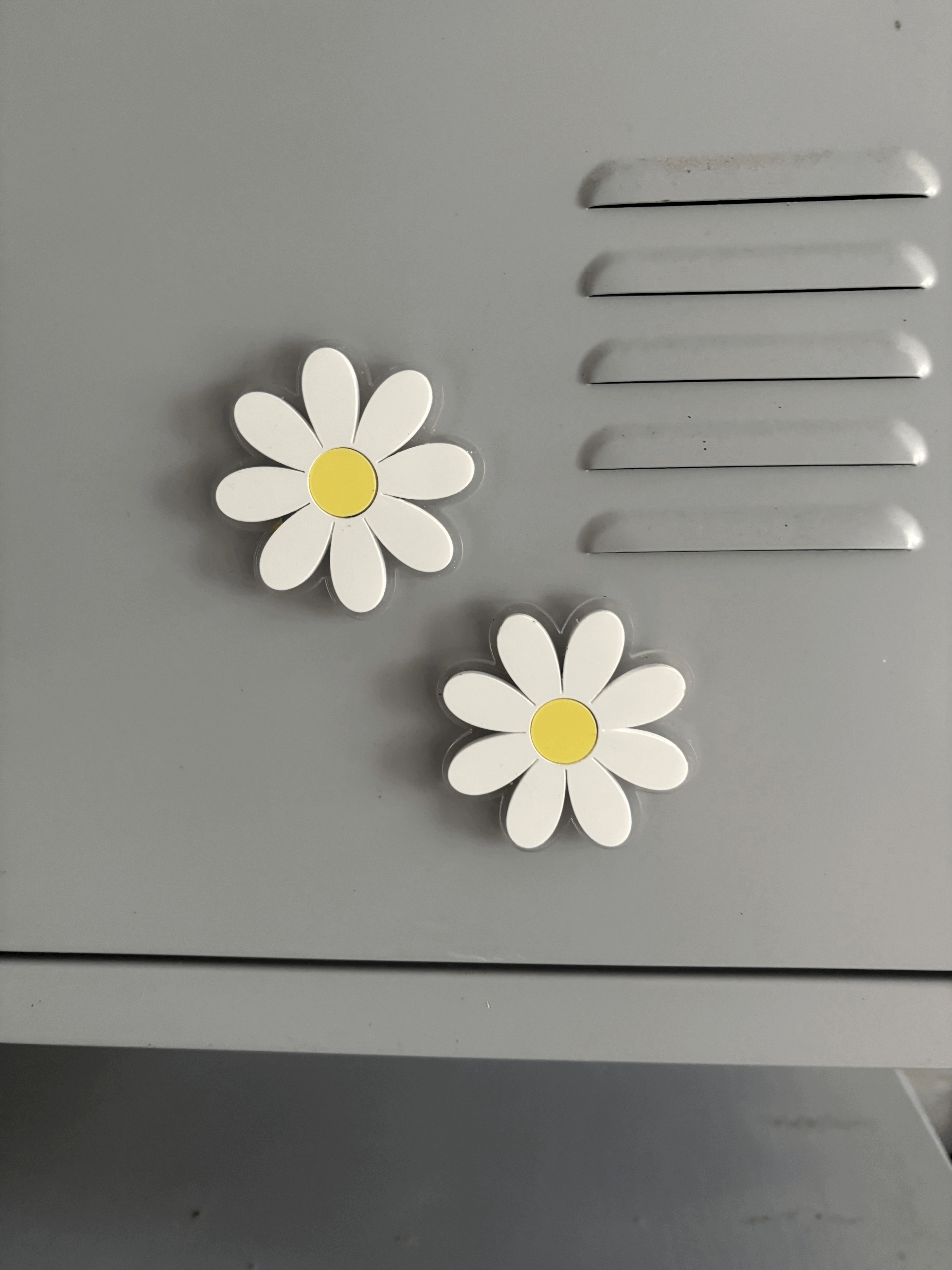Daisy locker magnet