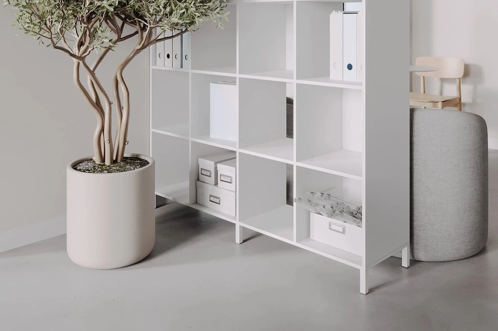 Interior of a modern, minimalistic room with a white shelving unit filled with binders, boxes, and rolled-up papers. A large potted plant with twisting branches is on the left, and a small wooden chair is next to a light gray rounded object in the background.