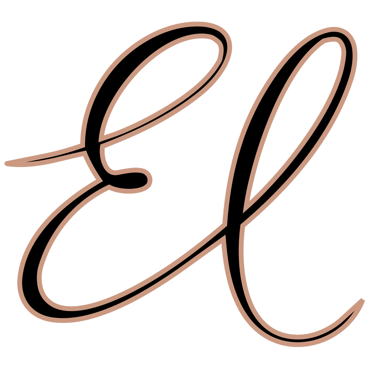 Elise's Graphic World