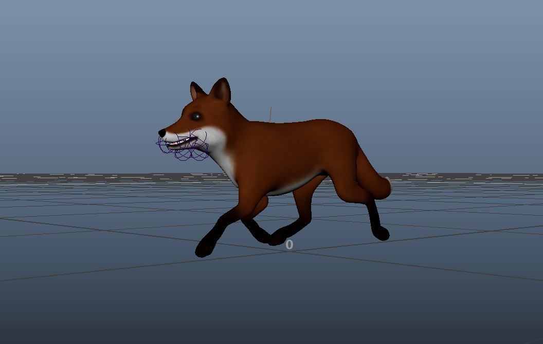 Exercice d'animation