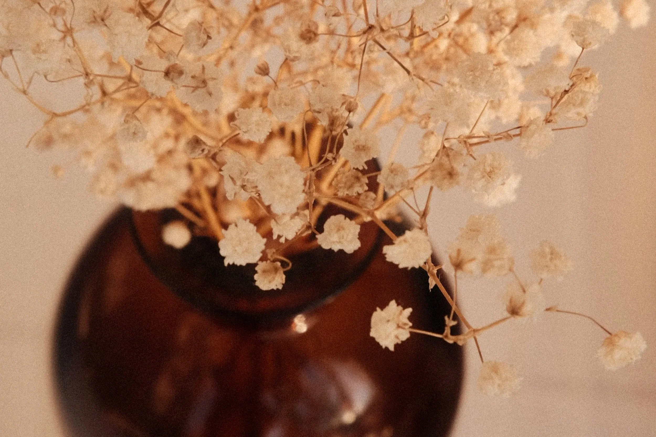 Detaljer & Stilleben