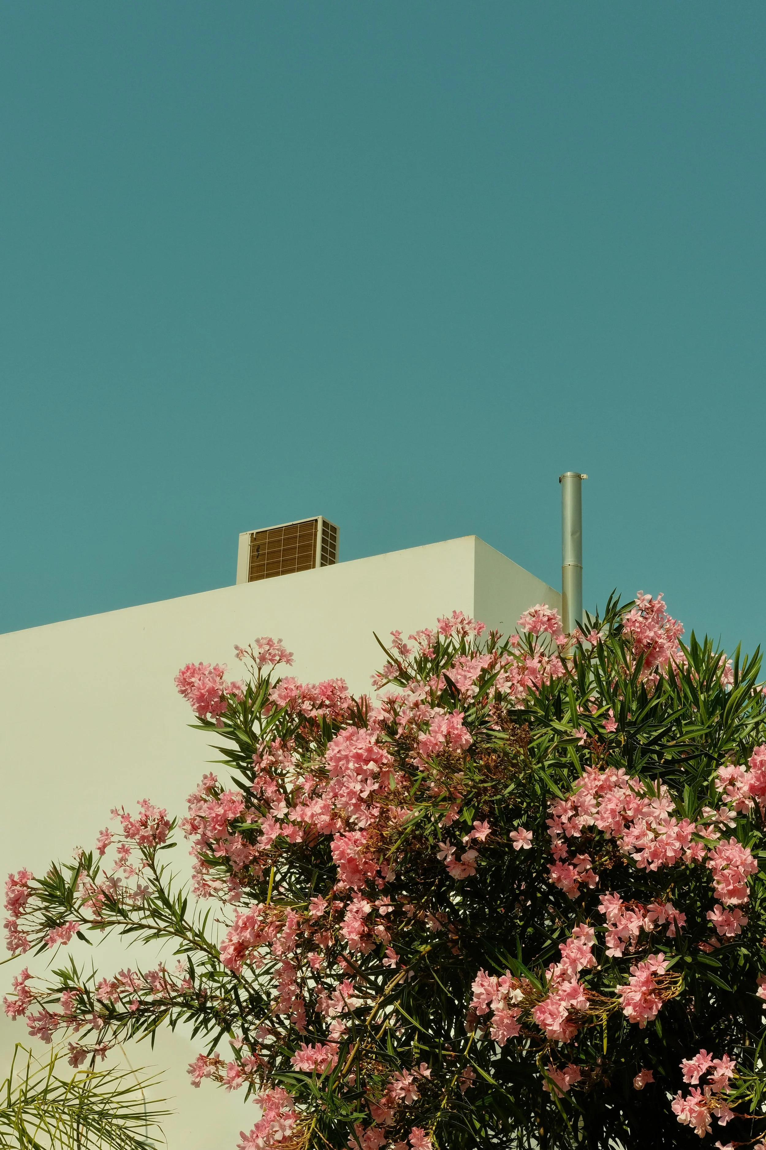 ED4128D8-9C2E-49D0-A72A-ED90CD83F202 2.JPEG