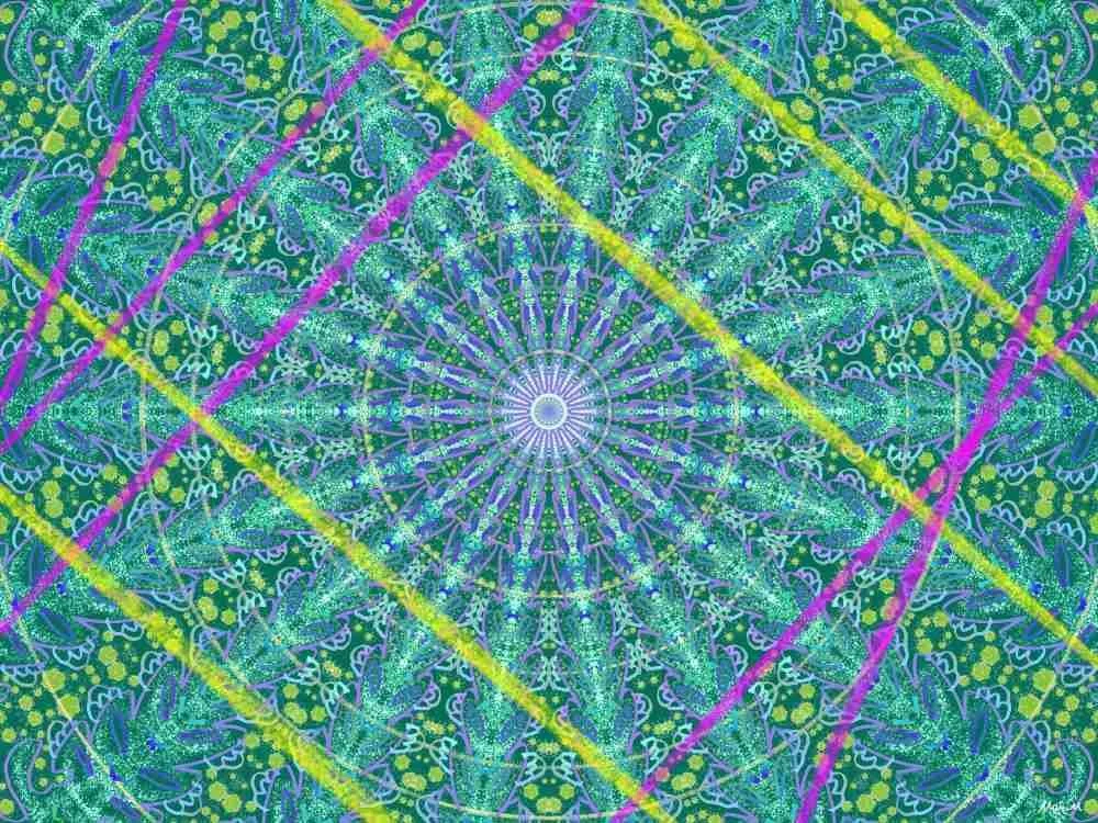 基本価格　10000JPYC　　罠ーTrap　　植物に囲まれた落とし穴のような場所で、上にも下にも逃れられない。