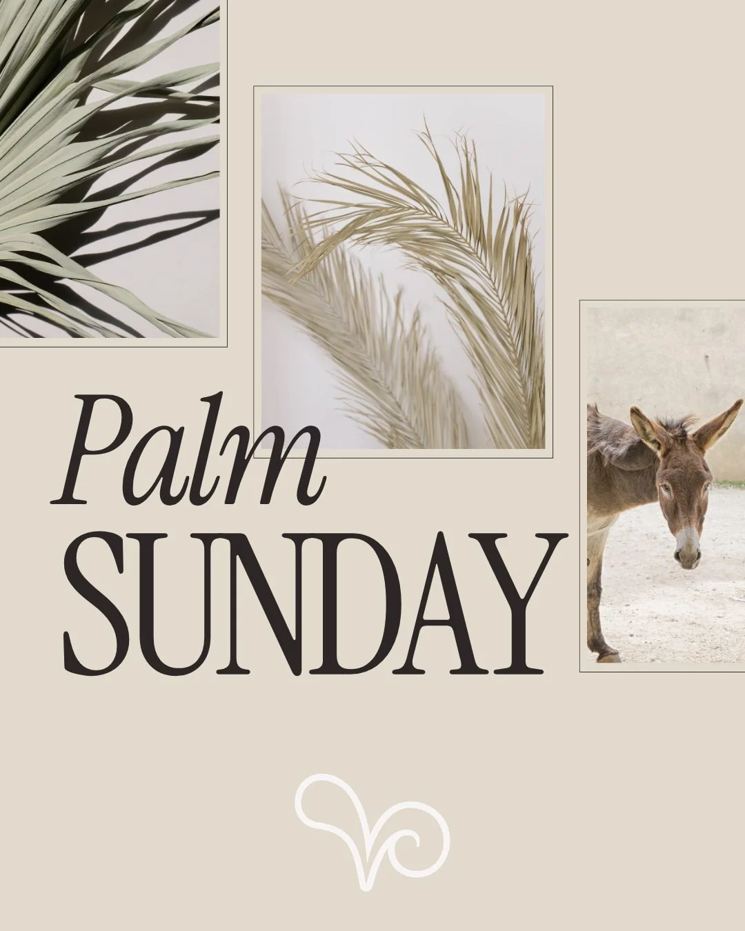 Join us this Sunday for Palm Sunday as we remember Jesus&rsquo; triumphant entry into Jerusalem! 🌿 

We&rsquo;re especially excited because our young adults will be leading the service 🙌 

You won&rsquo;t want to miss it - see you there!

The Castl