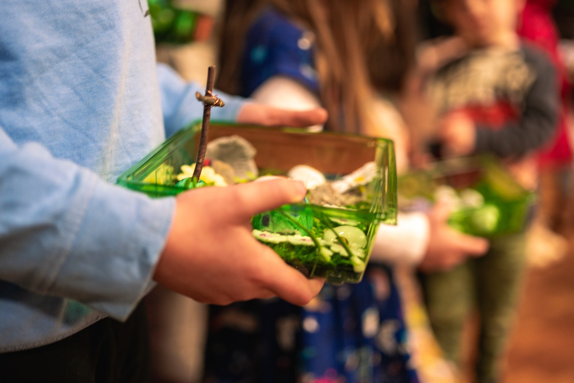 Taunton Vineyard Youth and Children