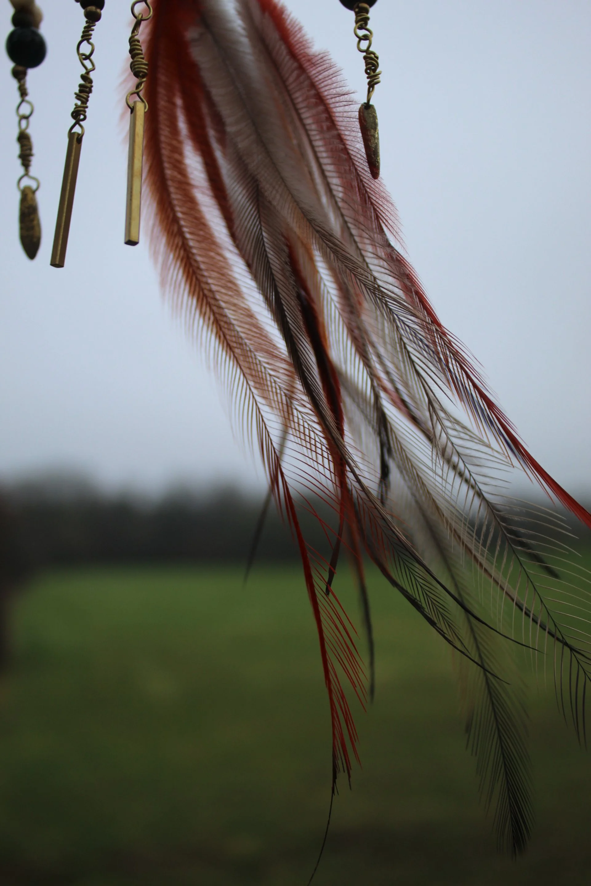 IMG_5440.jpeg