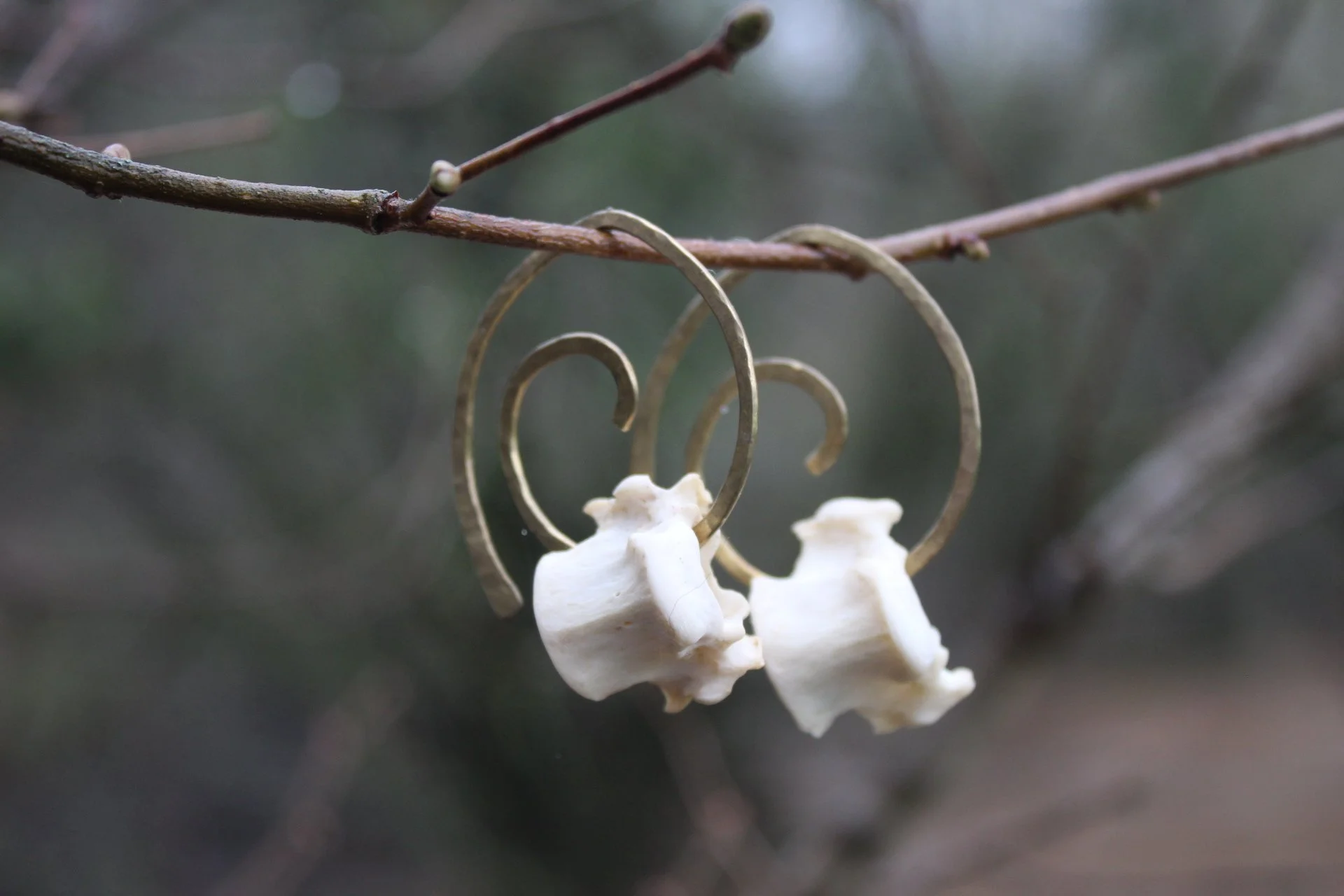 ꩜ Spine & Spiral Hook Earrings