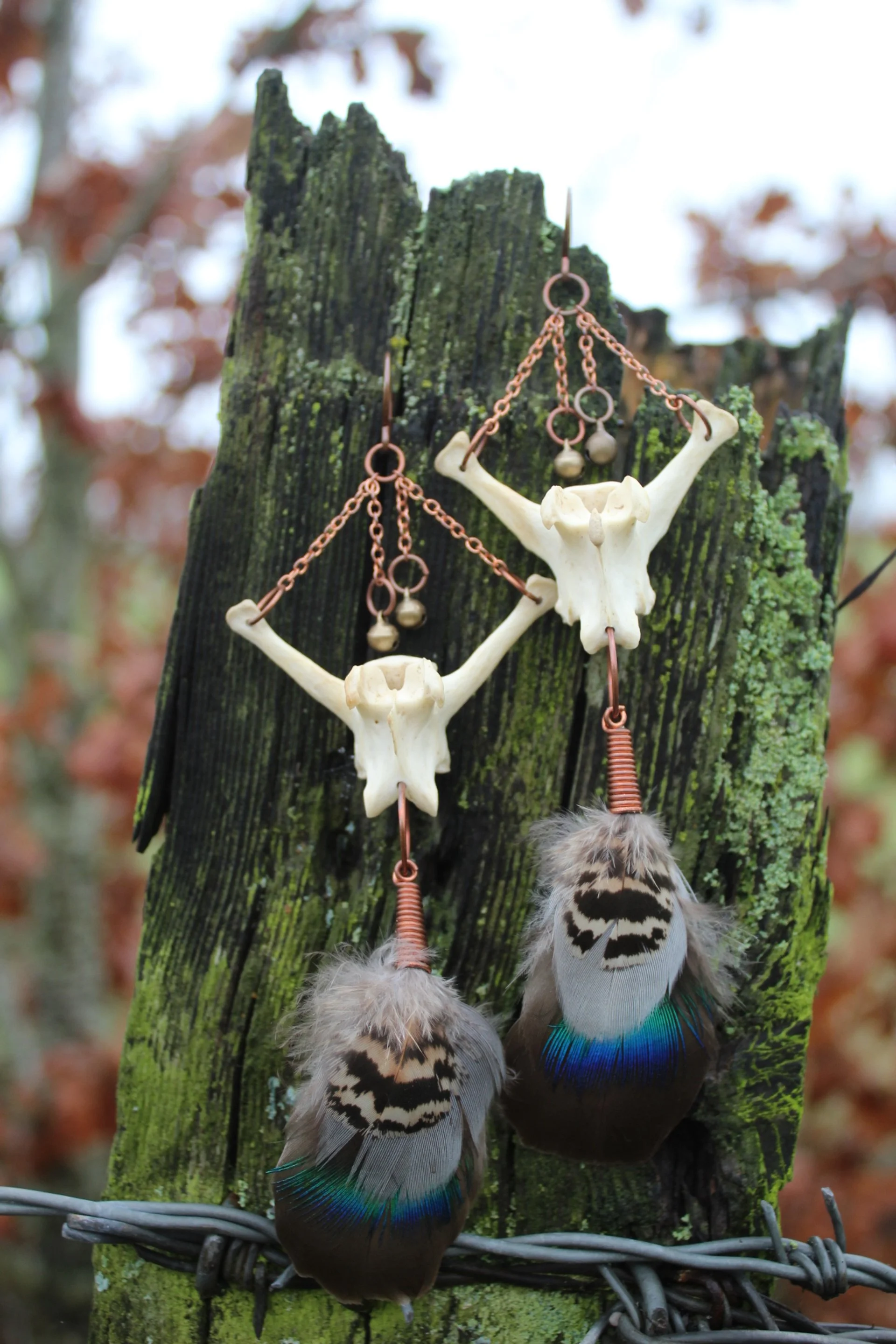 ꩜ Fox Spine & Fallen Feather Earrings