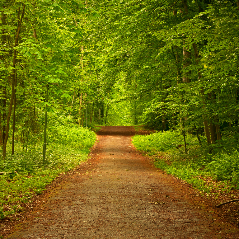 Belonging to yourself after years of belonging to everyone else