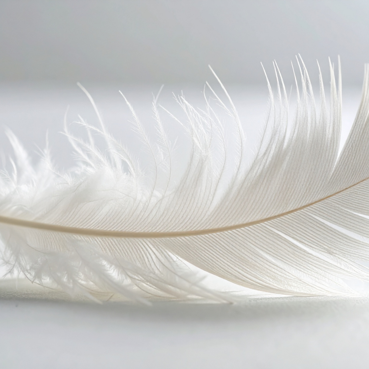 Tenderness: The Parts of Us That Still Need Holding