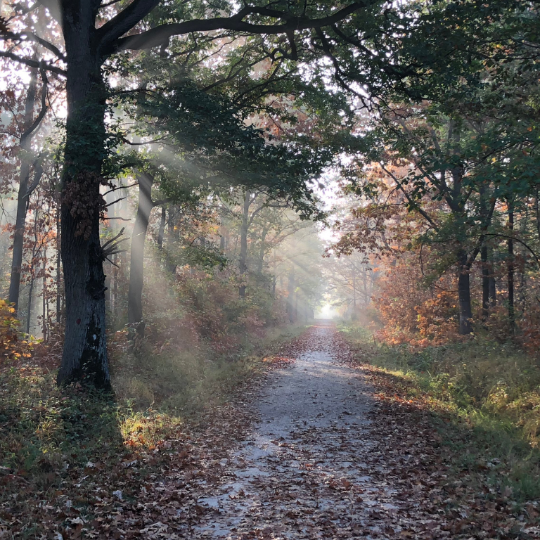 Holding Your Head High When Life is Hard: Finding Strength When Your Heart Feels Heavy