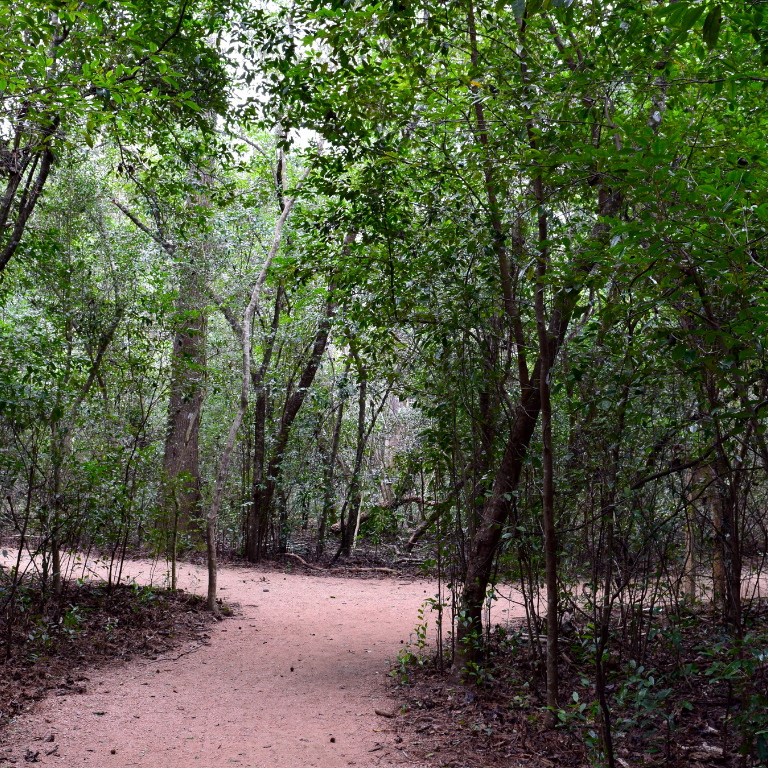 The Art of Saying No Without Guilt