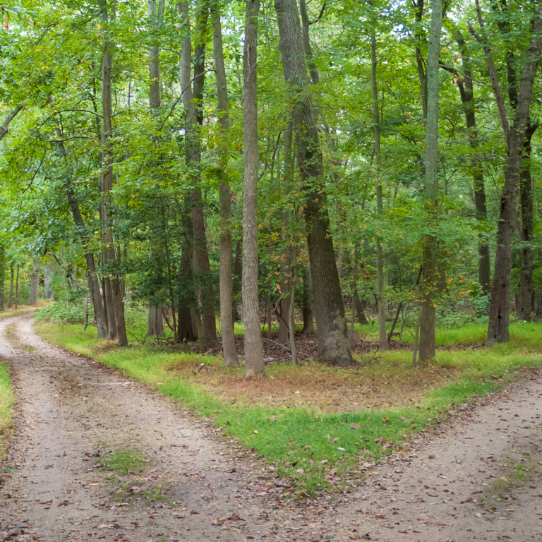 The Guilt and Relief of Stepping Back