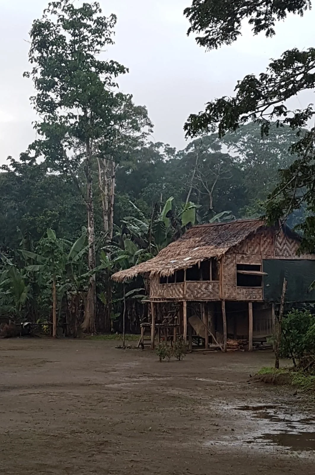 Hut in PNG Ogalogo.jpg