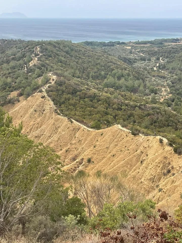 Rhododendron Ridge.jpg