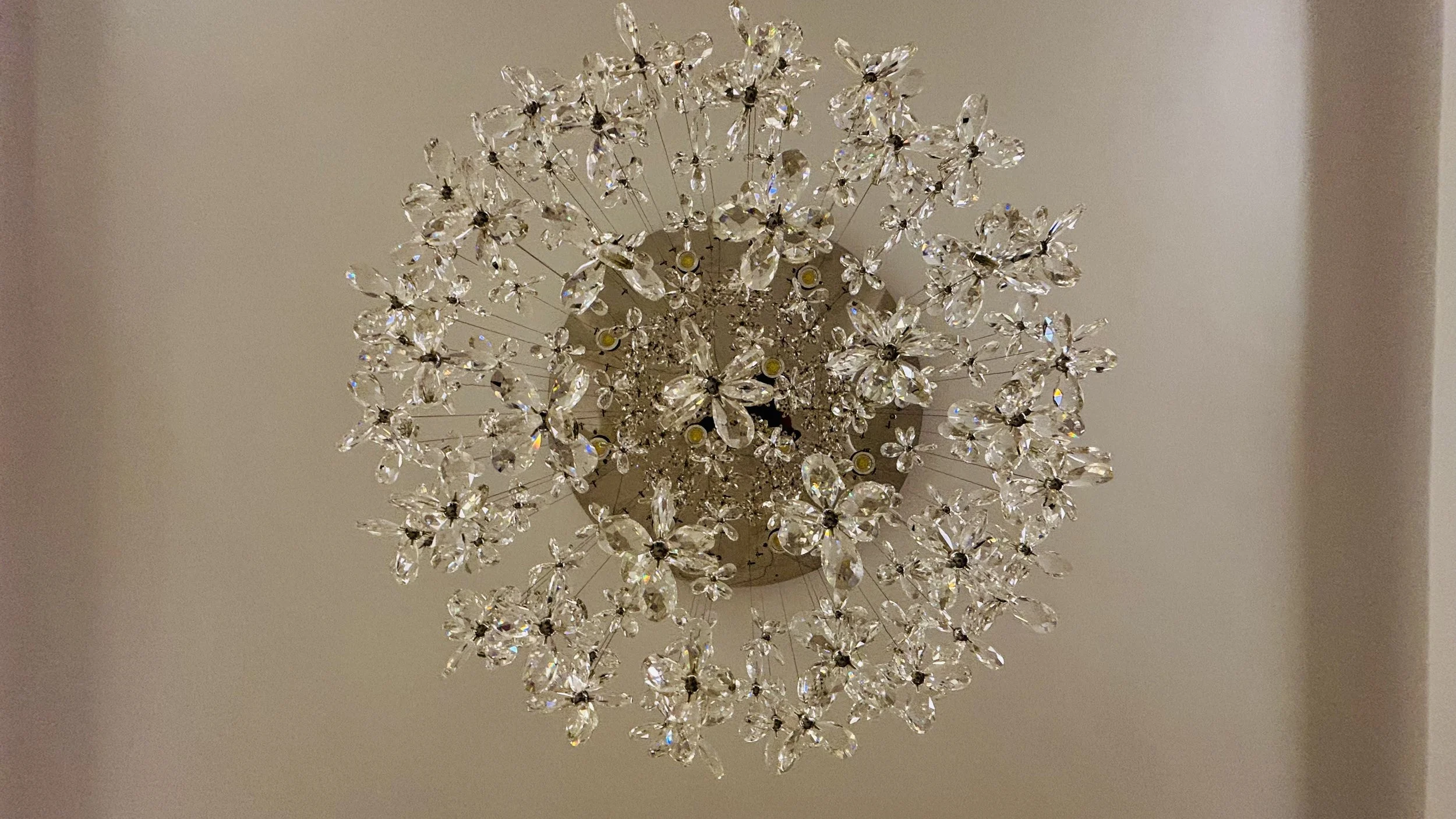 chandelier 2.jpeg