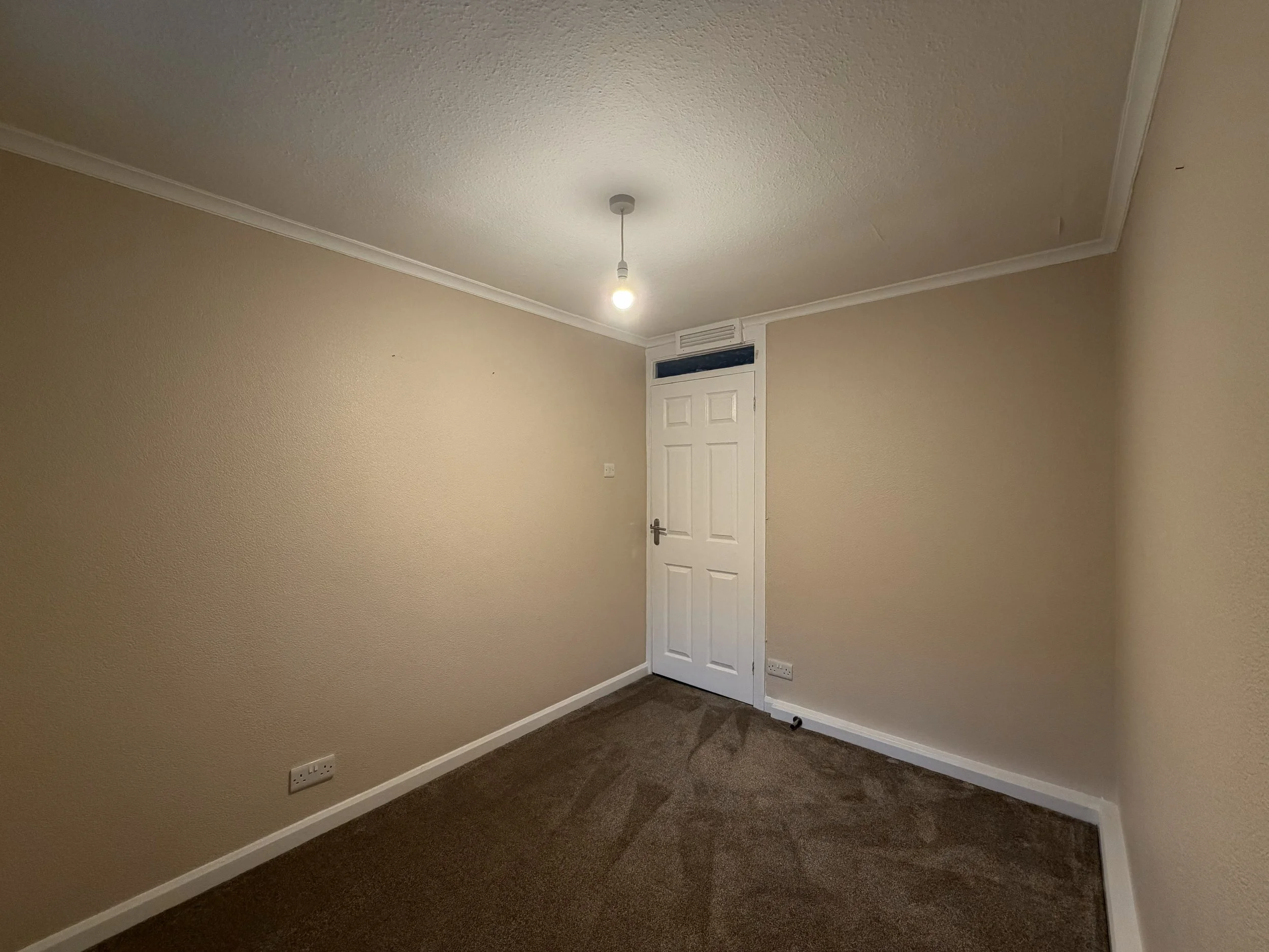 Empty beige room with a brown carpet, white door, electrical outlets, and a ceiling light.