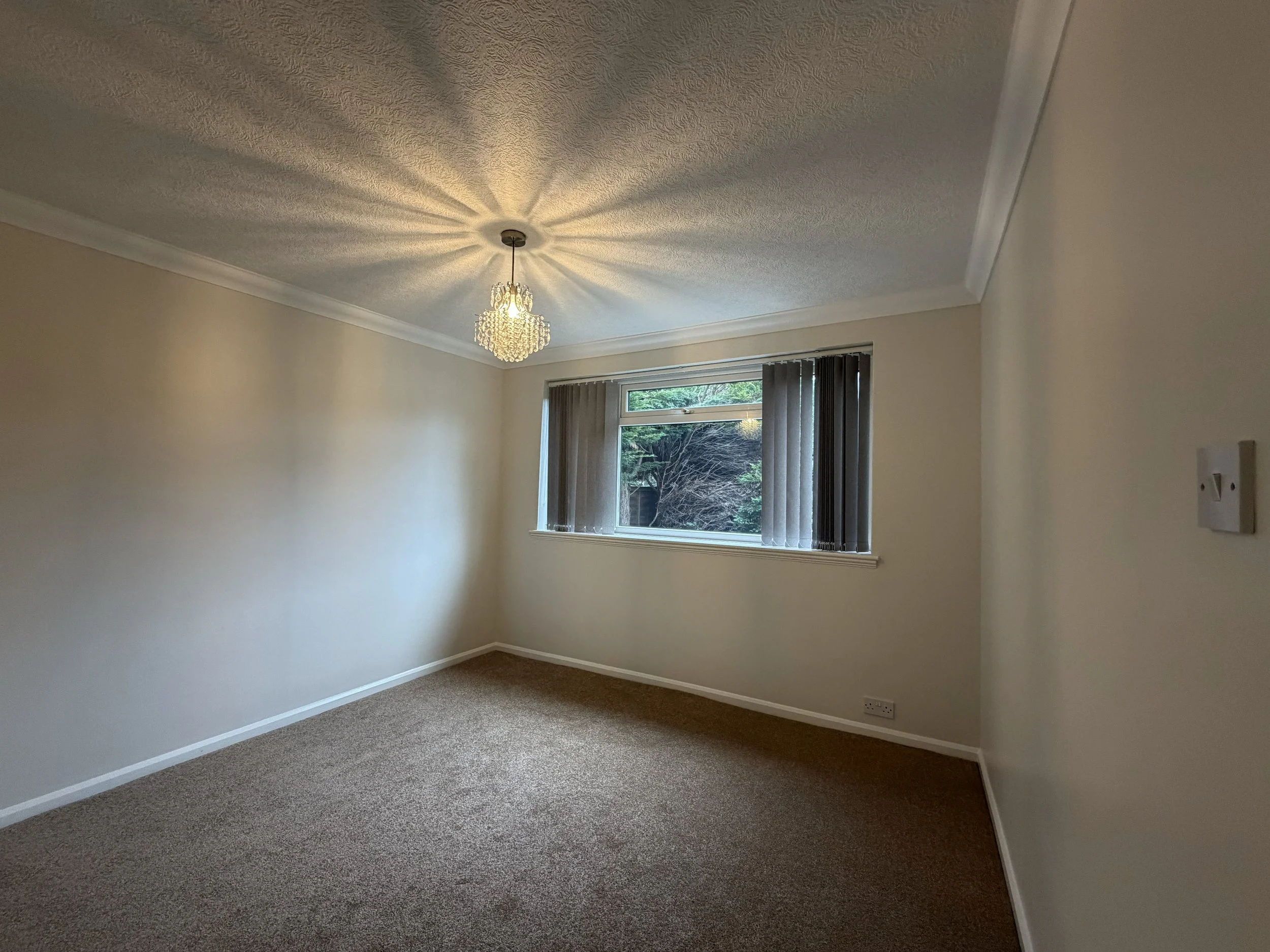 Empty room with beige carpet, cream walls, a window with vertical blinds, and a ceiling light fixture.