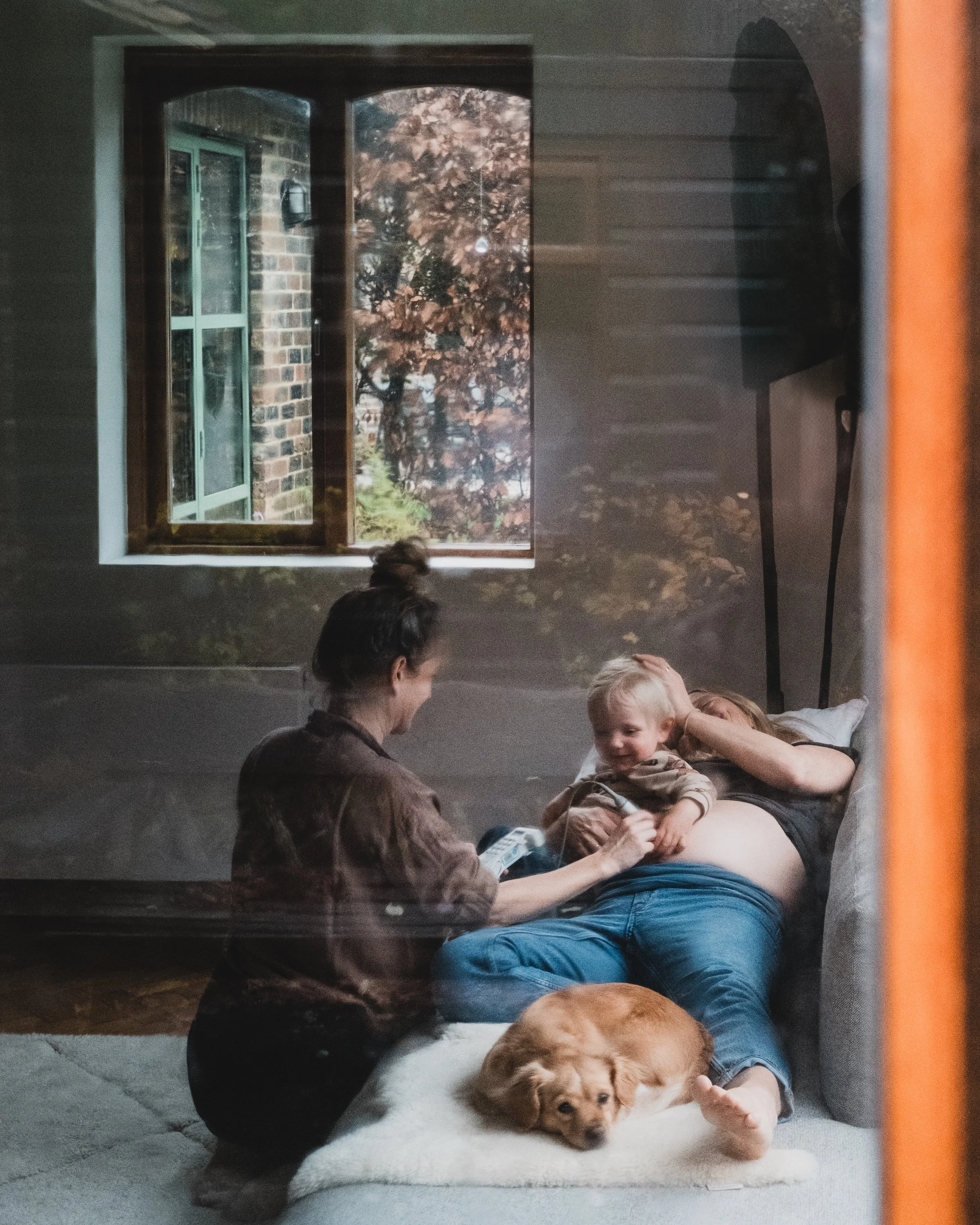 A woman lying on a couch with a young child on her lap, a woman kneeling close by, a dog lying on a rug, and a window showing autumn trees outside, all seen through a glass reflection.