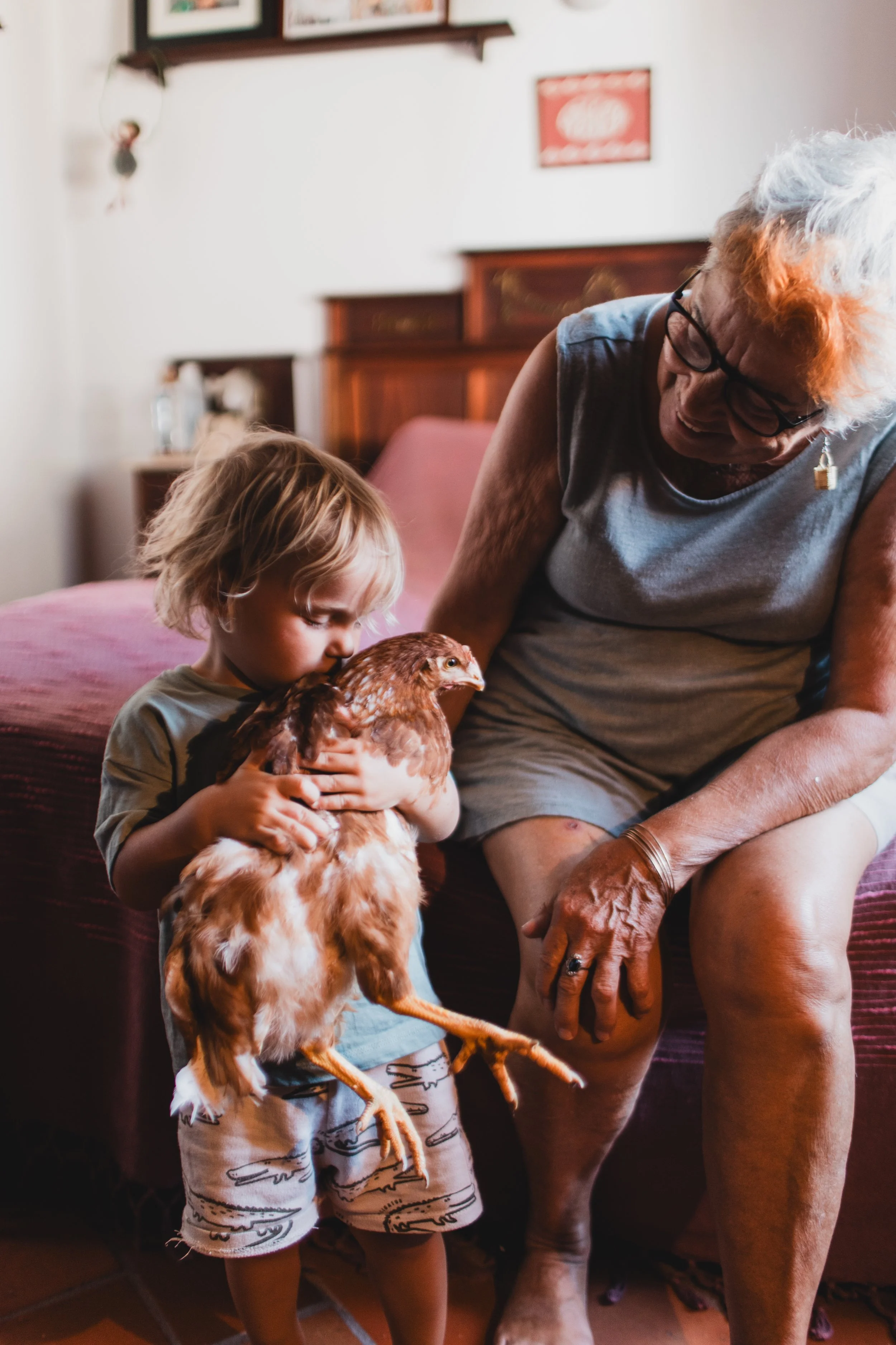 A young boy holding a brown chicken on his lap while sitting on a bed, with an elderly woman sitting beside him, smiling and looking at the chicken, in a cozy bedroom.