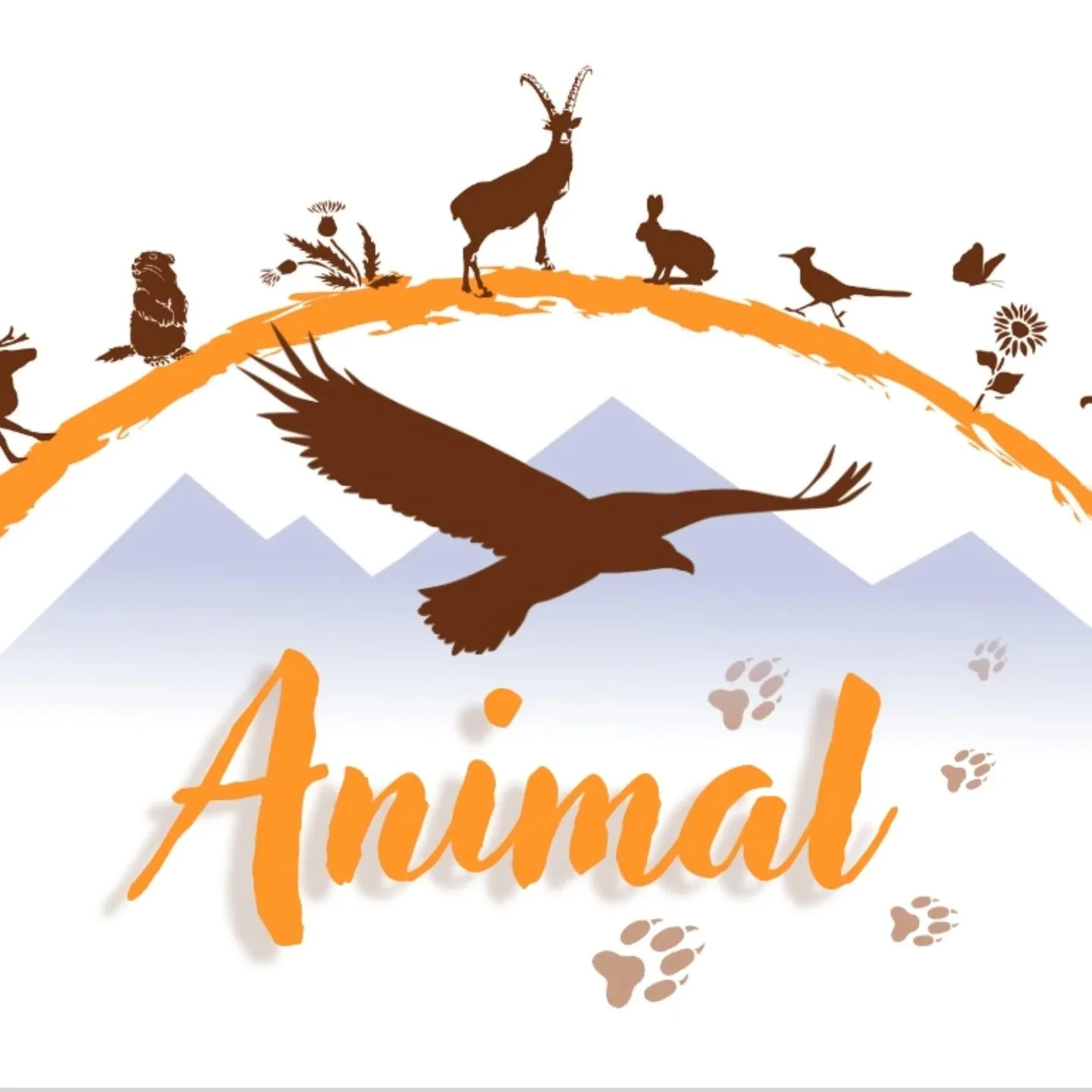 G&icirc;te &agrave; la Chapelle en Vercors en bordure de la plus grande r&eacute;serve naturelle de France m&eacute;tropolitaine. Tr&egrave;s grande biodiversit&eacute;, dont loup gris. 

Nuit et petit d&eacute;jeuner le mercredi, vendredi, samedi et