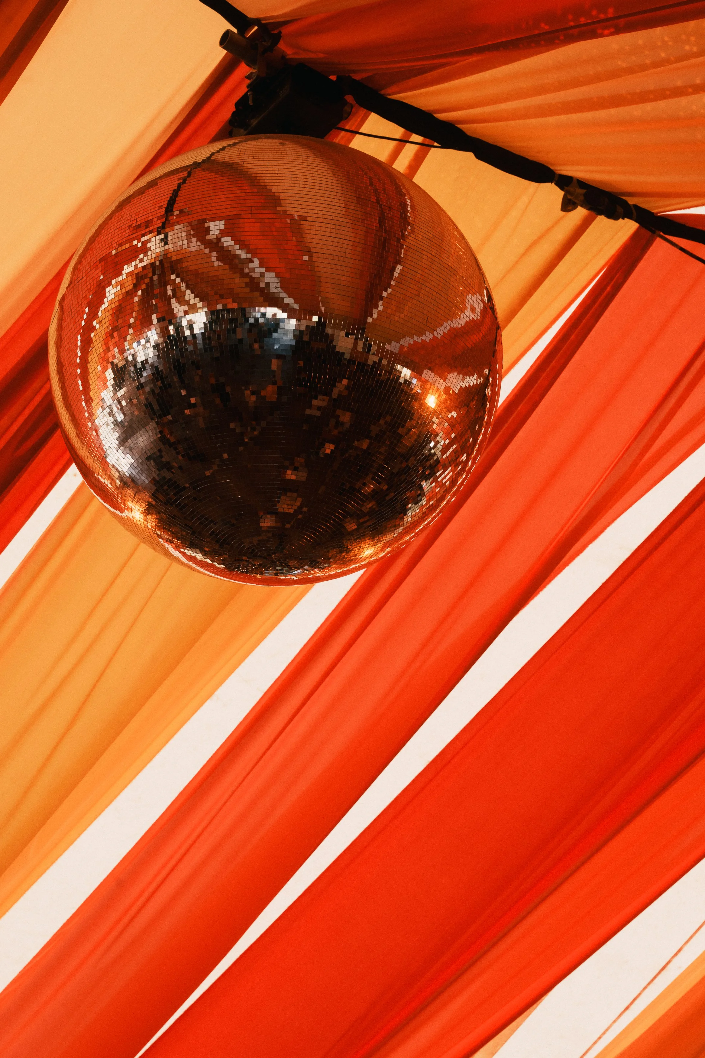 rolandak | WOH | HQ-8 (06462).jpg