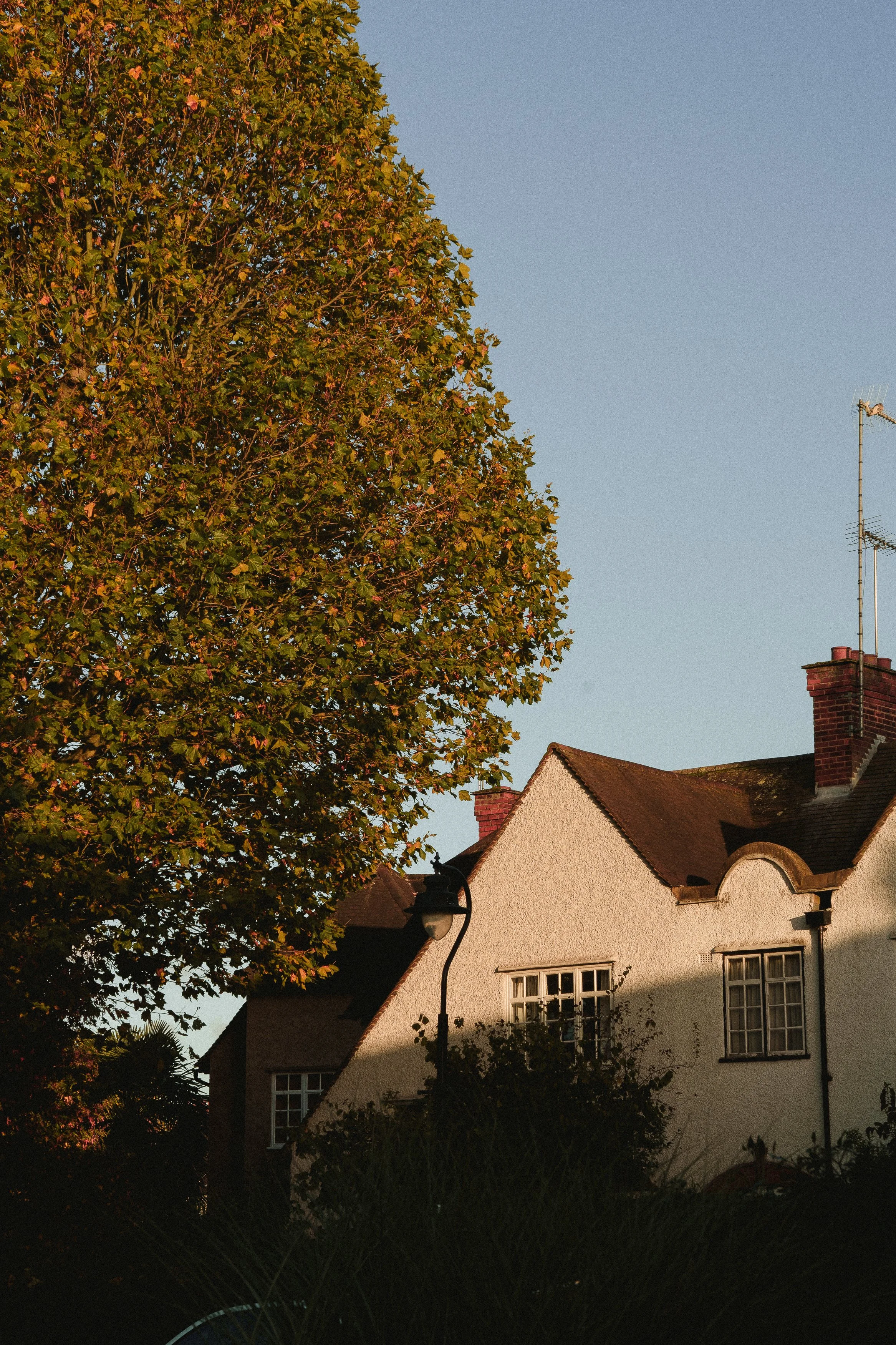 rolandak | Quick Export | IGQ-DSC03911.JPG