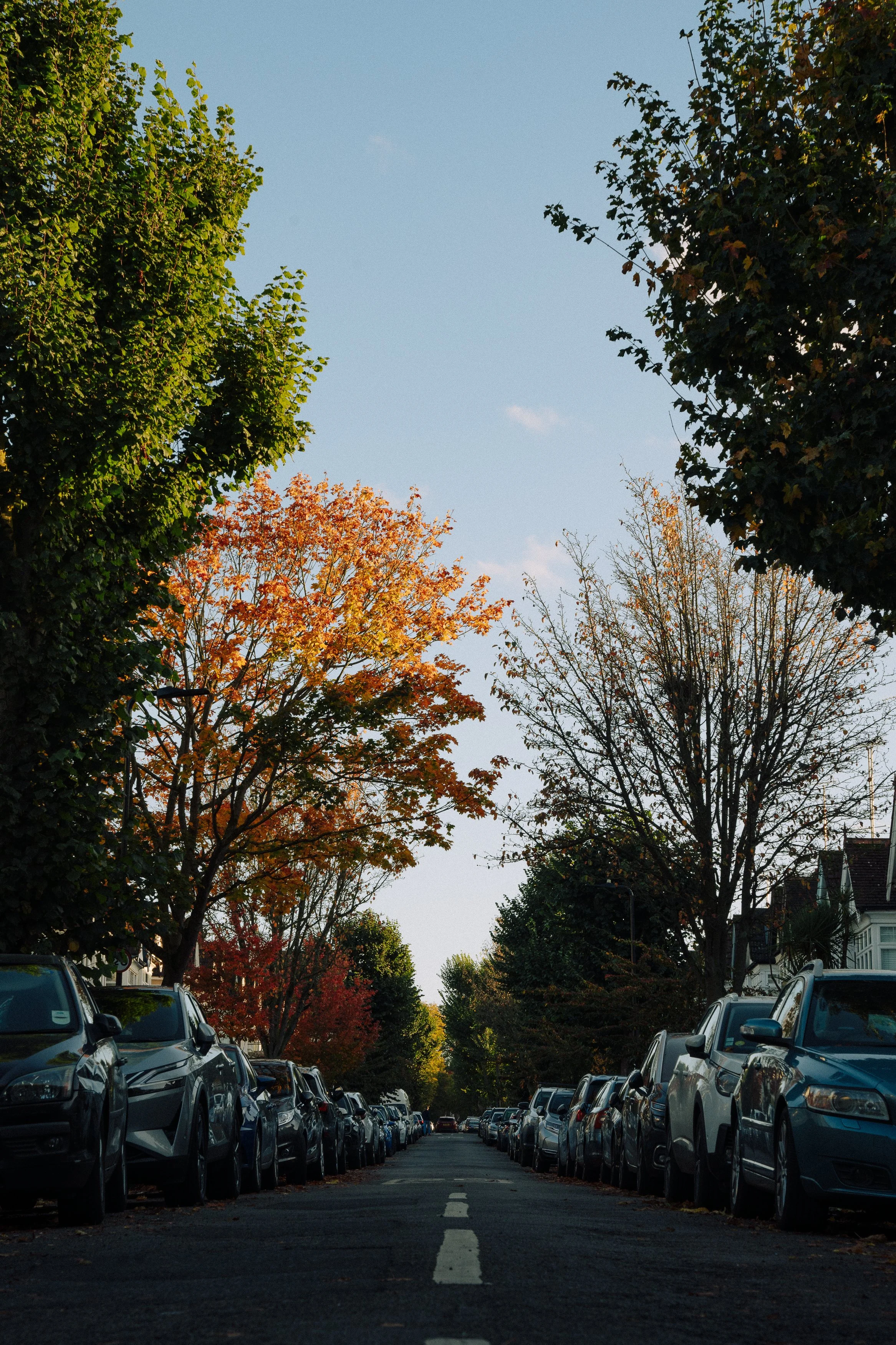 rolandak | Quick Export | IGQ-DSC03901.JPG