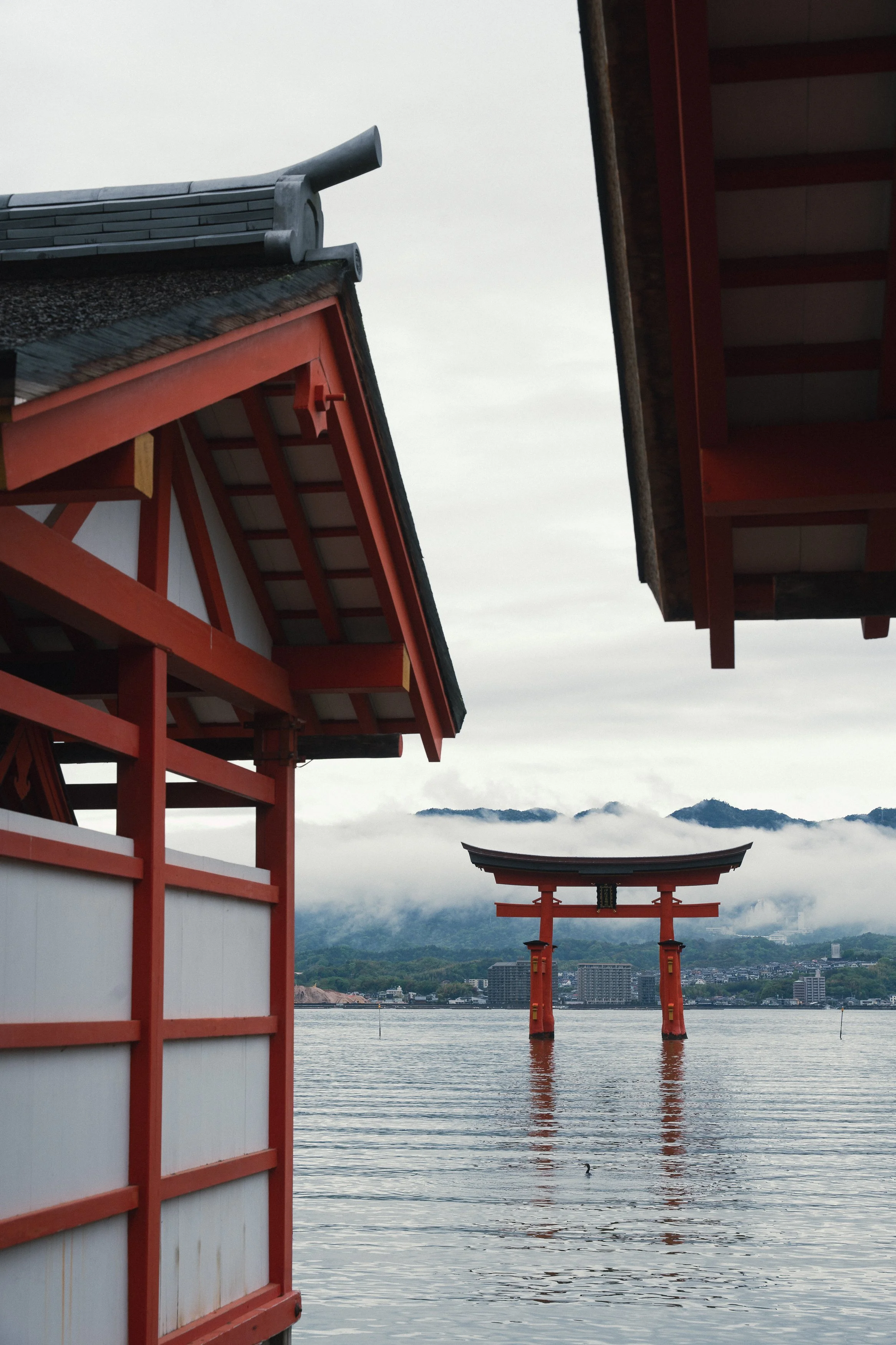 rolandak | Japan 2025 Best | HQ-72.jpg