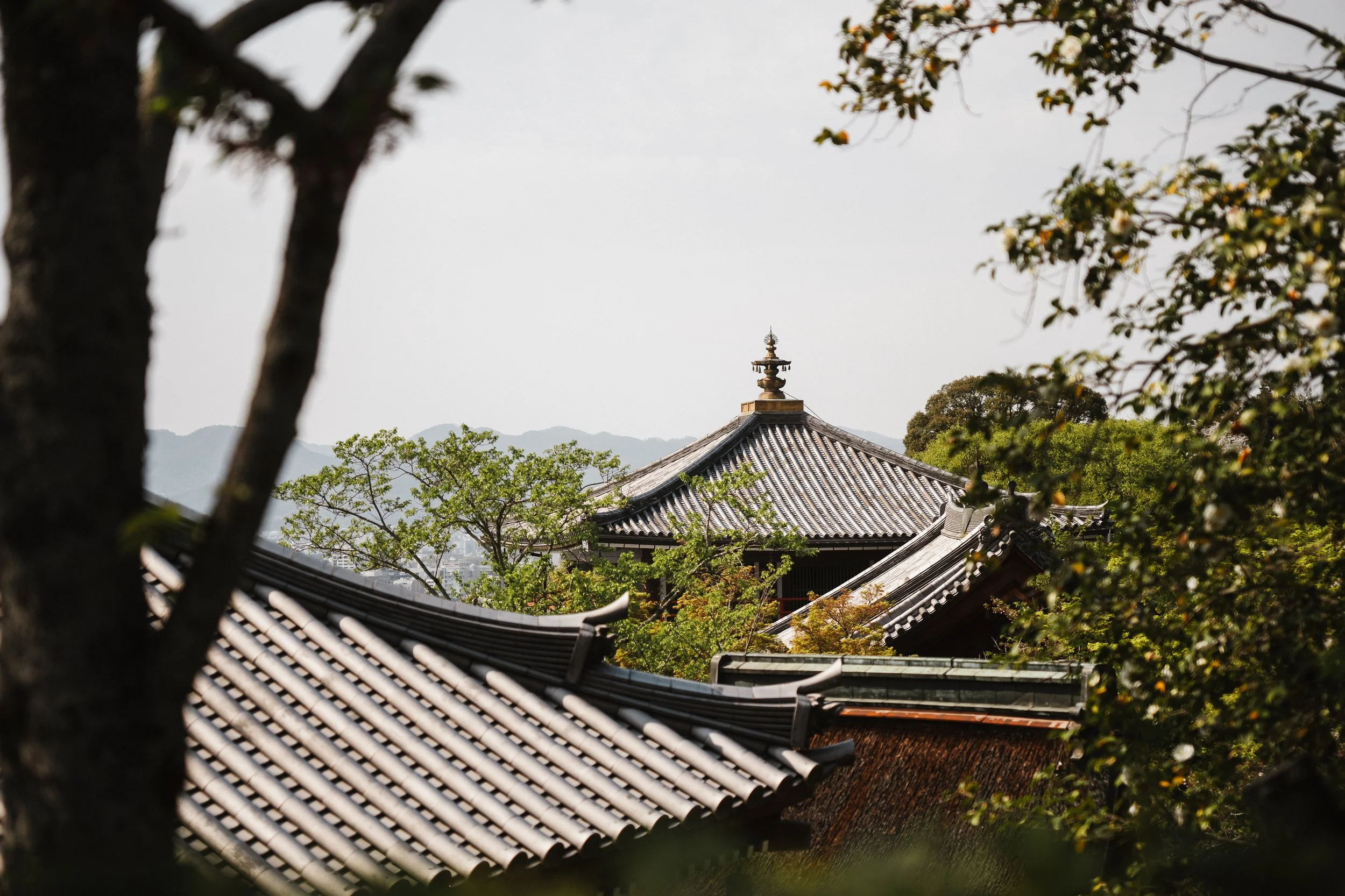 rolandak.jpg | Docu Submission | HQ-27.jpg