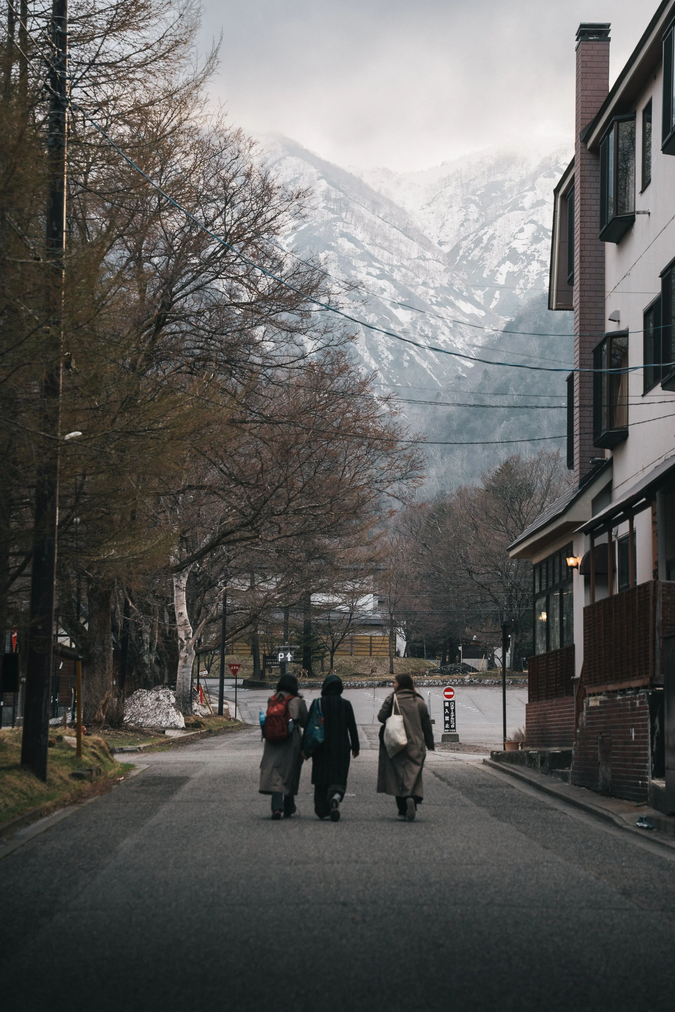 rolandak | Japan 2025 Best | HQ-100.jpg