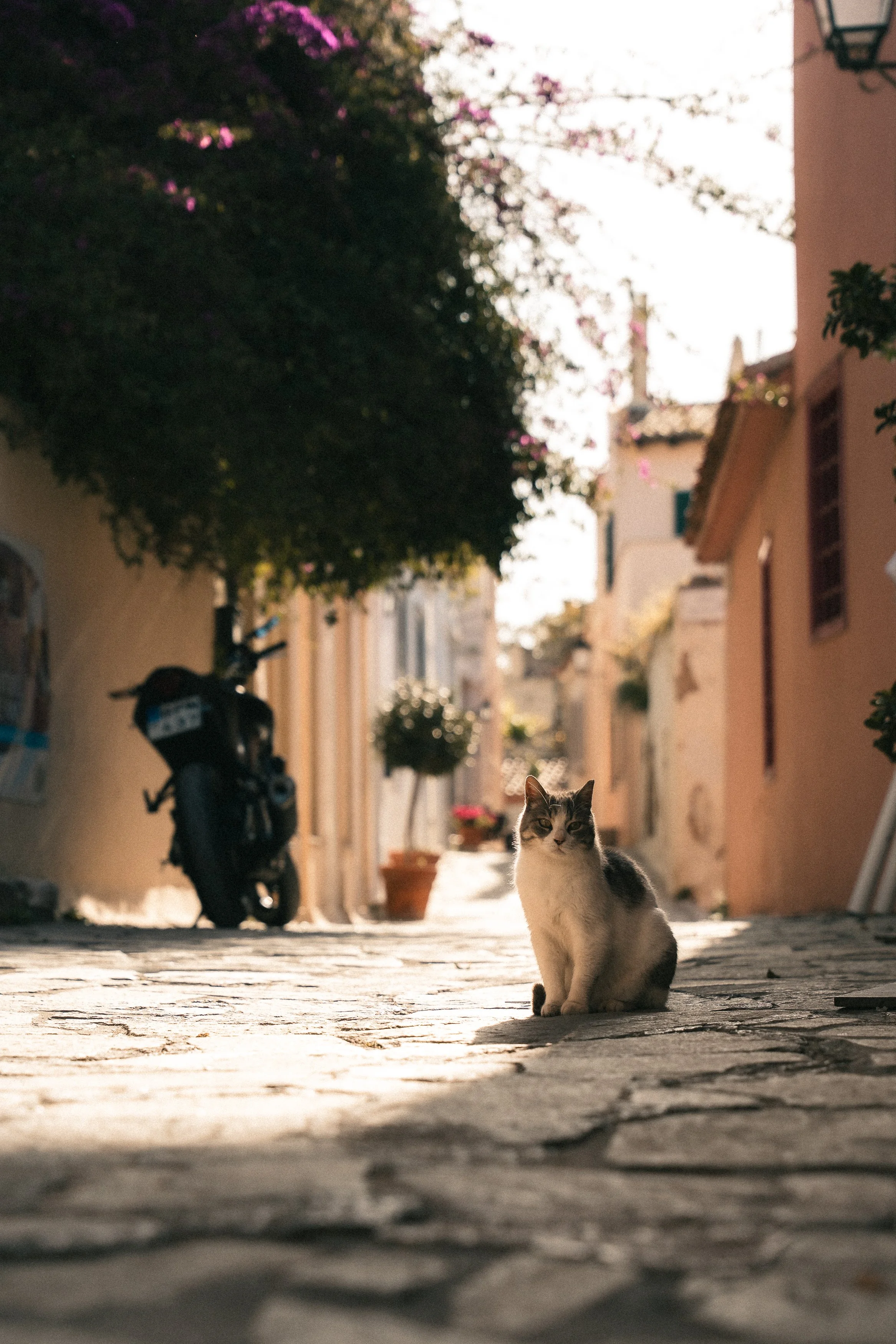 rolandak | Athens 26 | HQ-2.jpg