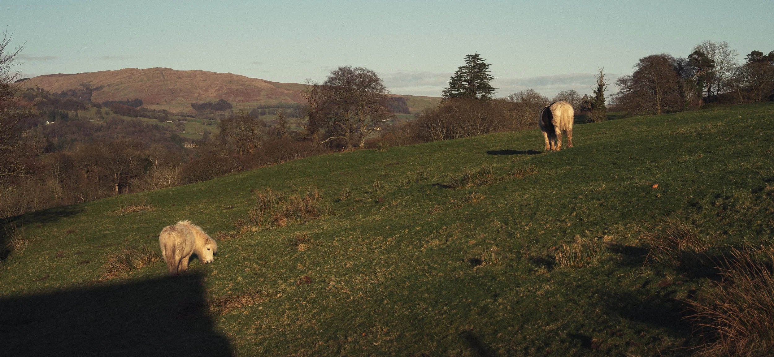 rolandak | Lakes & Games | HQ-44.jpg