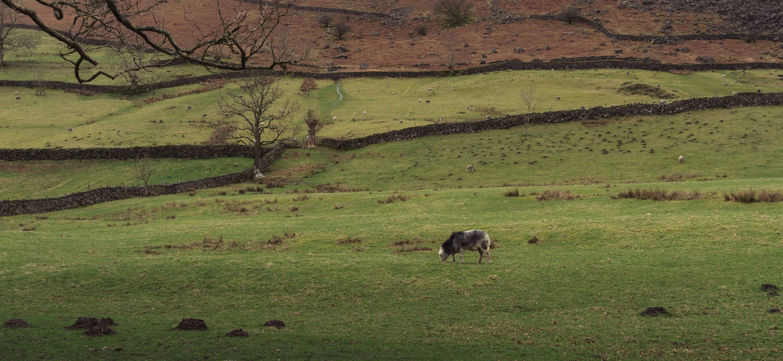 rolandak | Lakes & Games | HQ-8.jpg