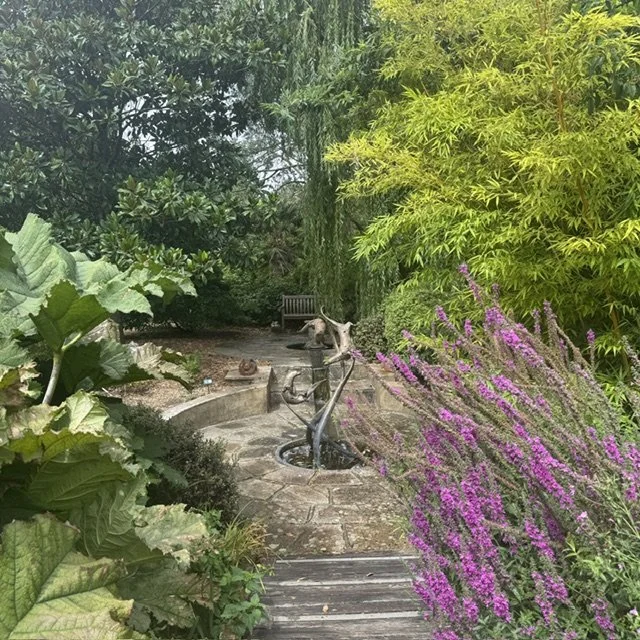 Peaceful area in kitchen gardens
