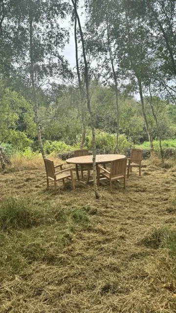 Woodland picnic spot