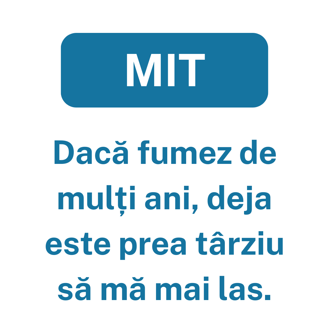 Mit2