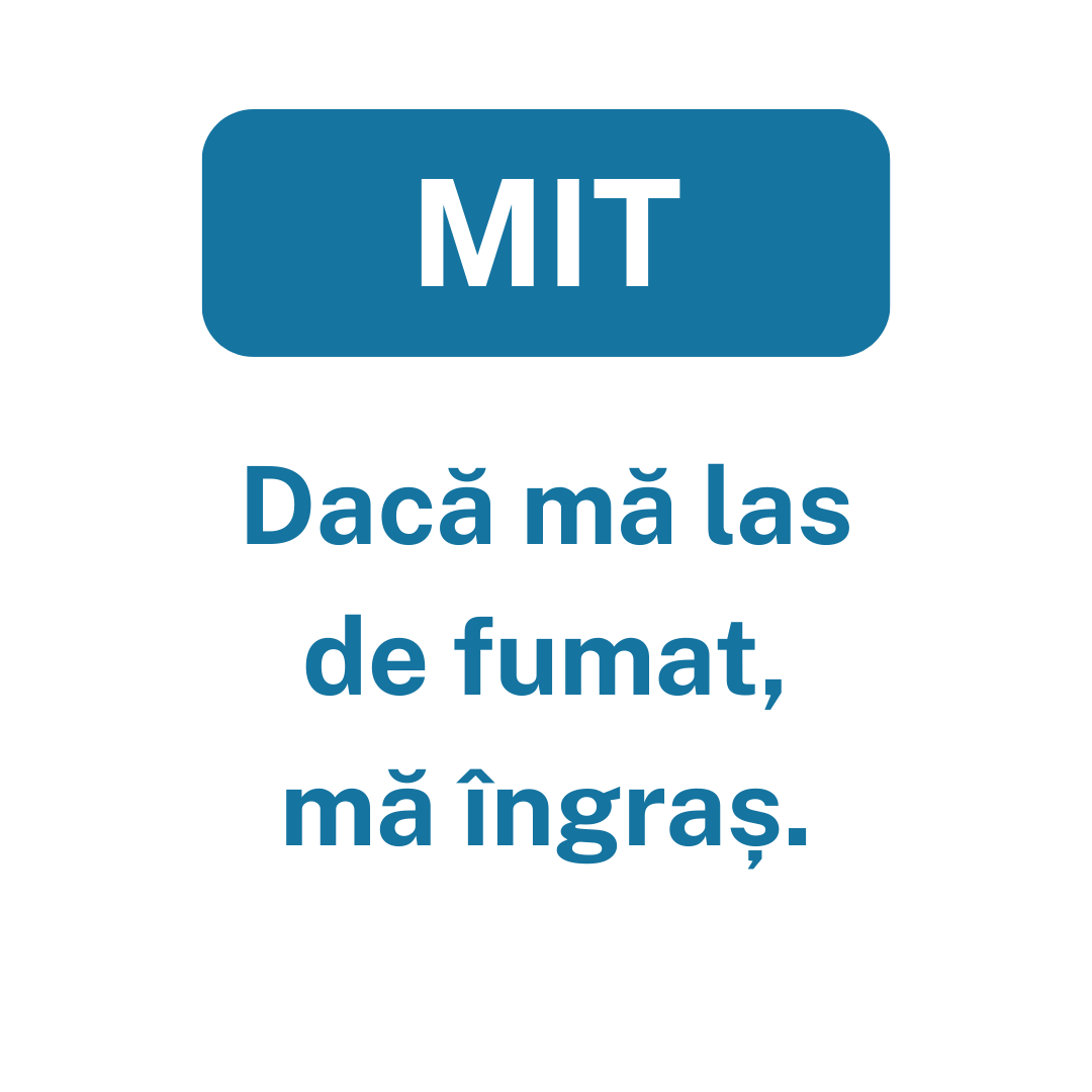 Mit3