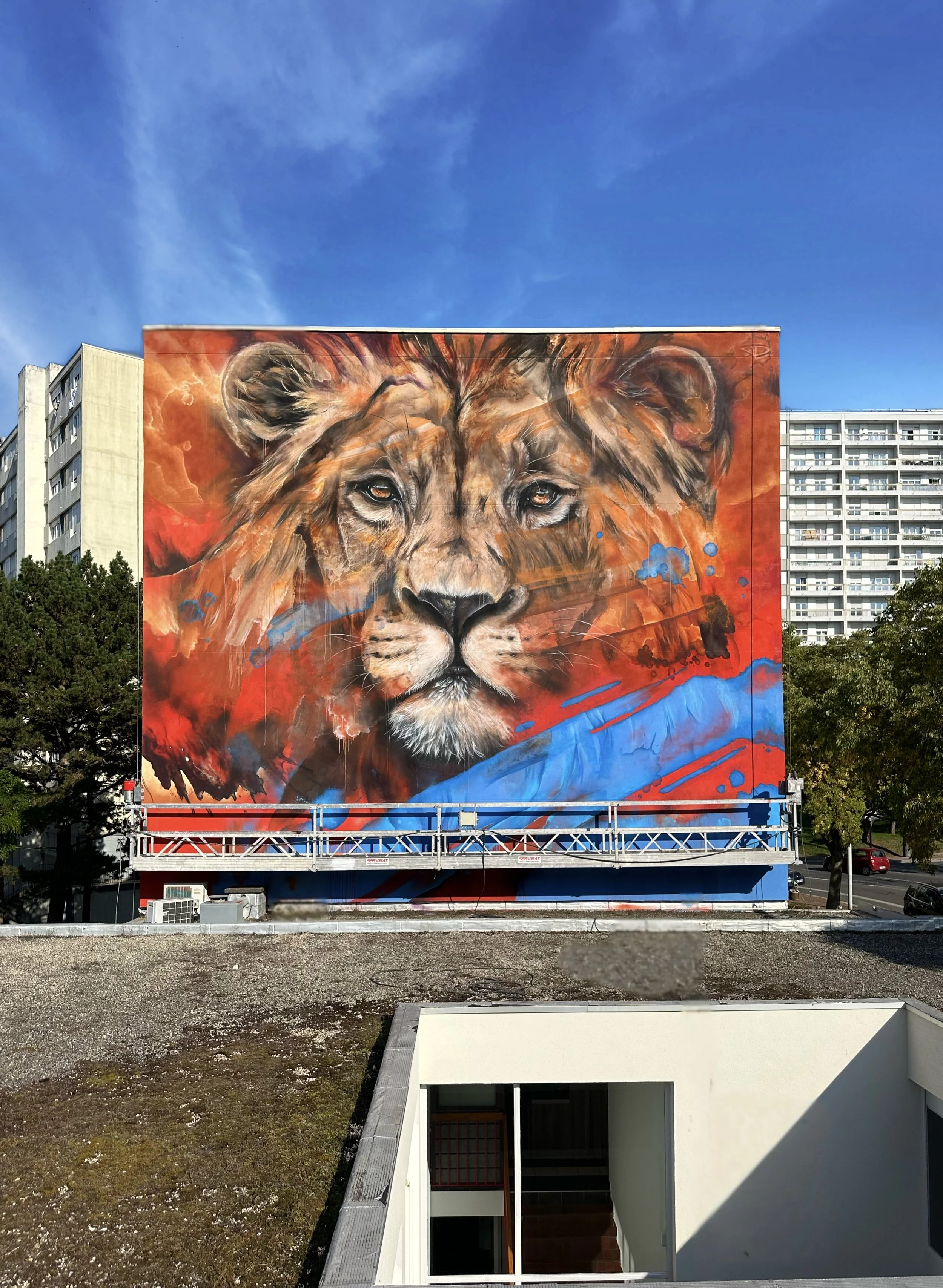 3EDAC2B1-1049-4082-91A9-B3A7AA565737 2.jpg